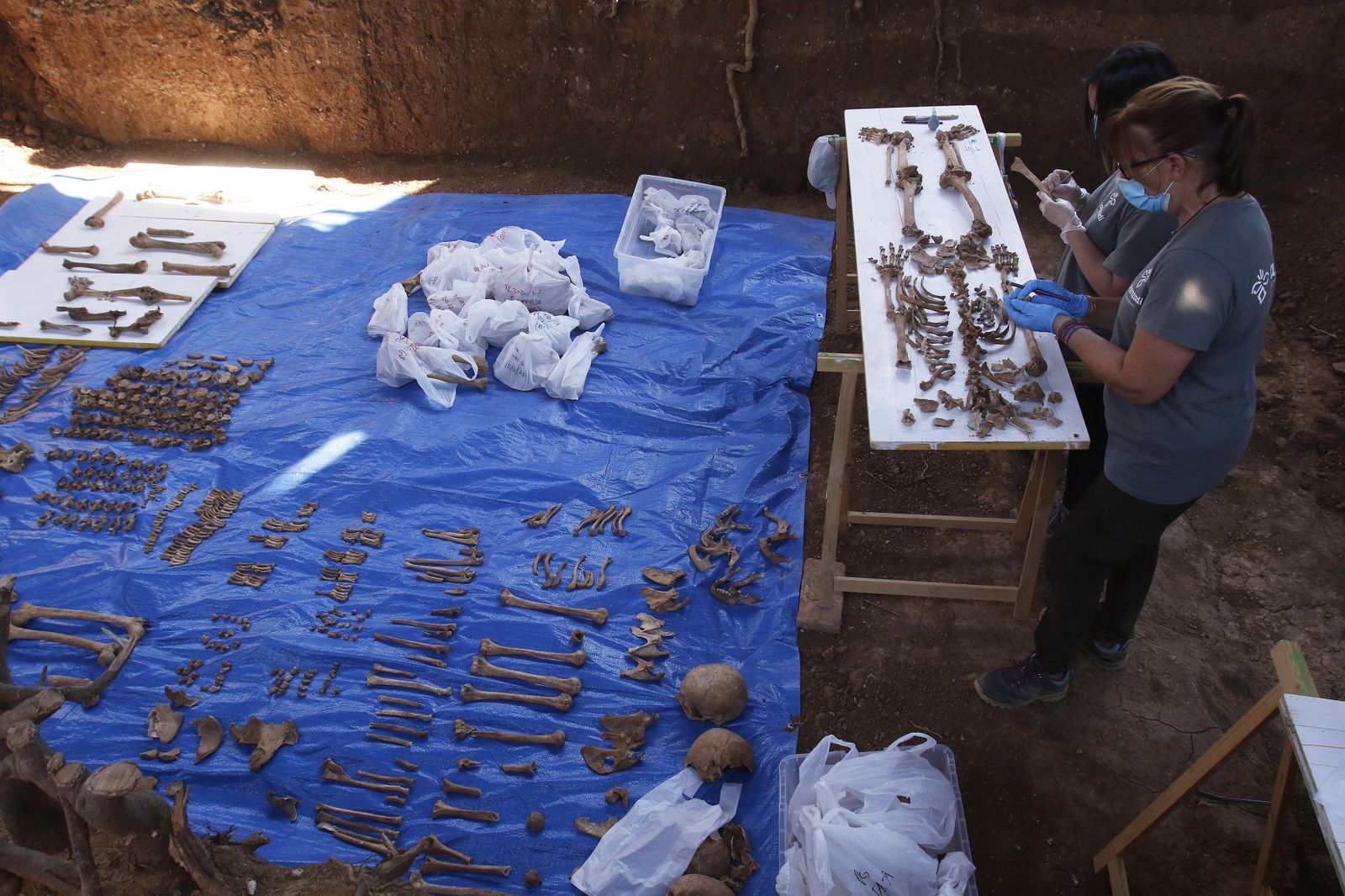 Visita a la fosa de Pico Reja