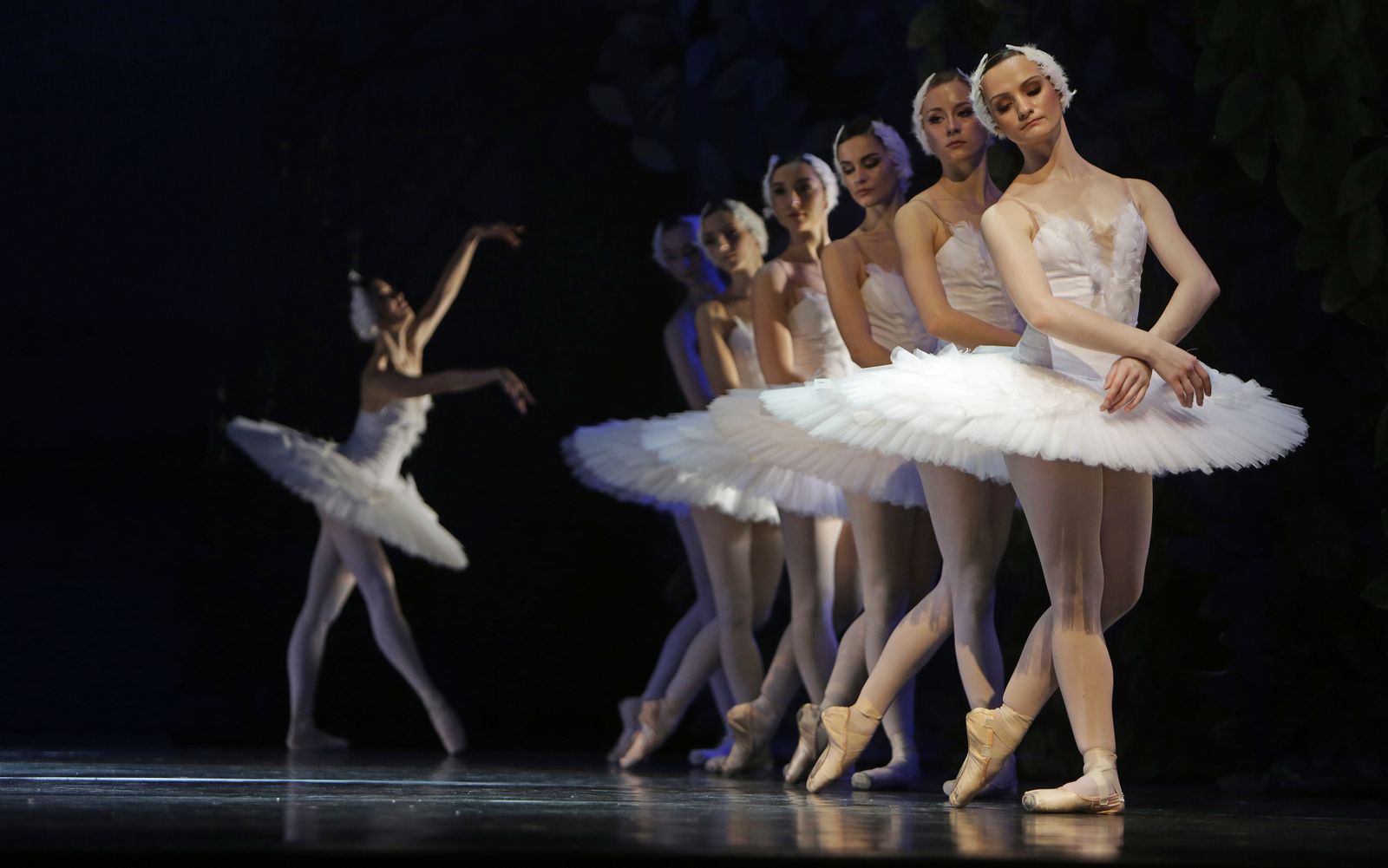 EL LAGO DE LOS CISNES