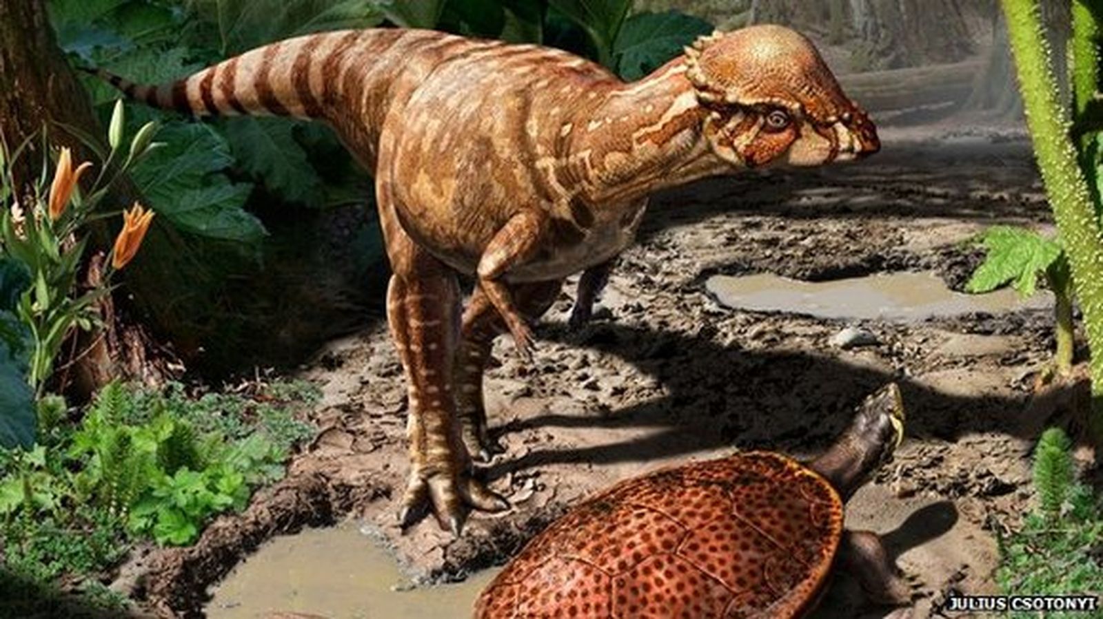 El 'Acrotholus audeti', el dinosaurio cabezón