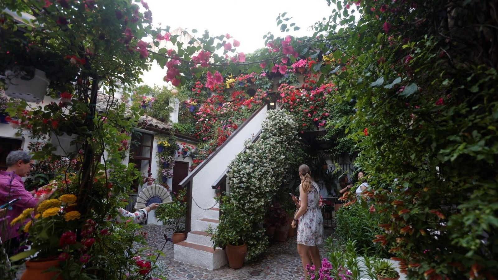 San Basilio, 44. Mención de honor en el concurso de Patios 2024