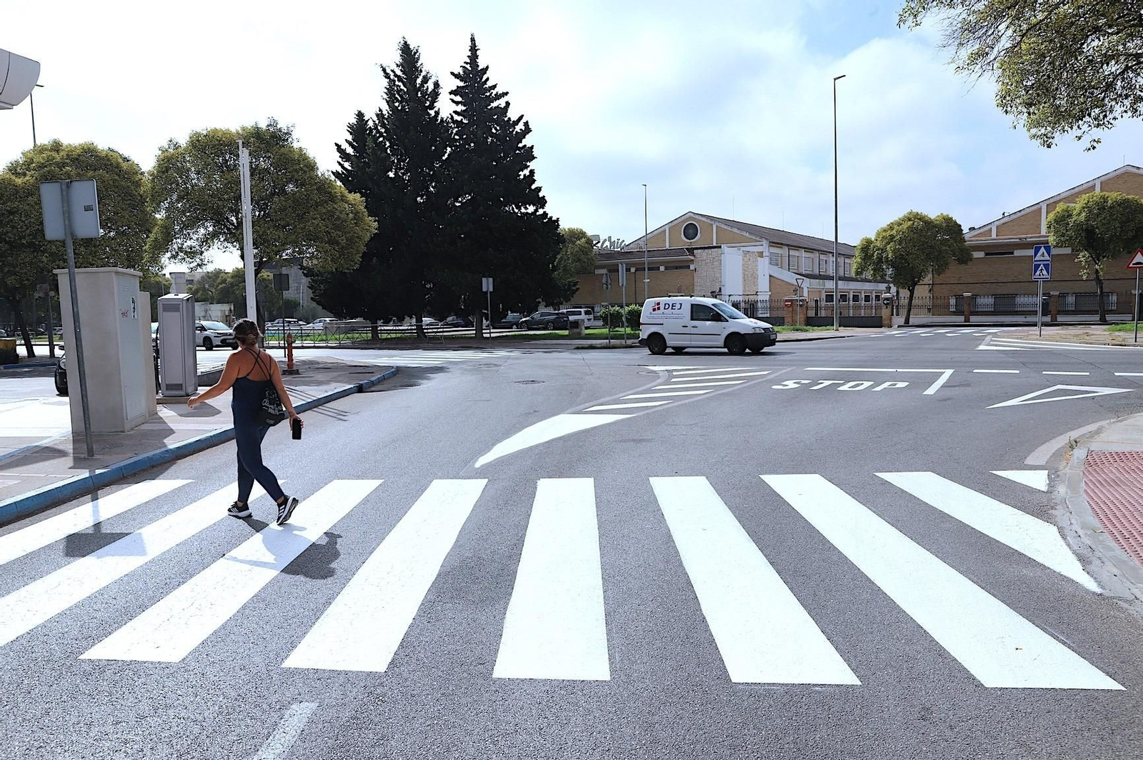 Uno de los pasos de peatones repintado en la avenida de Europa.