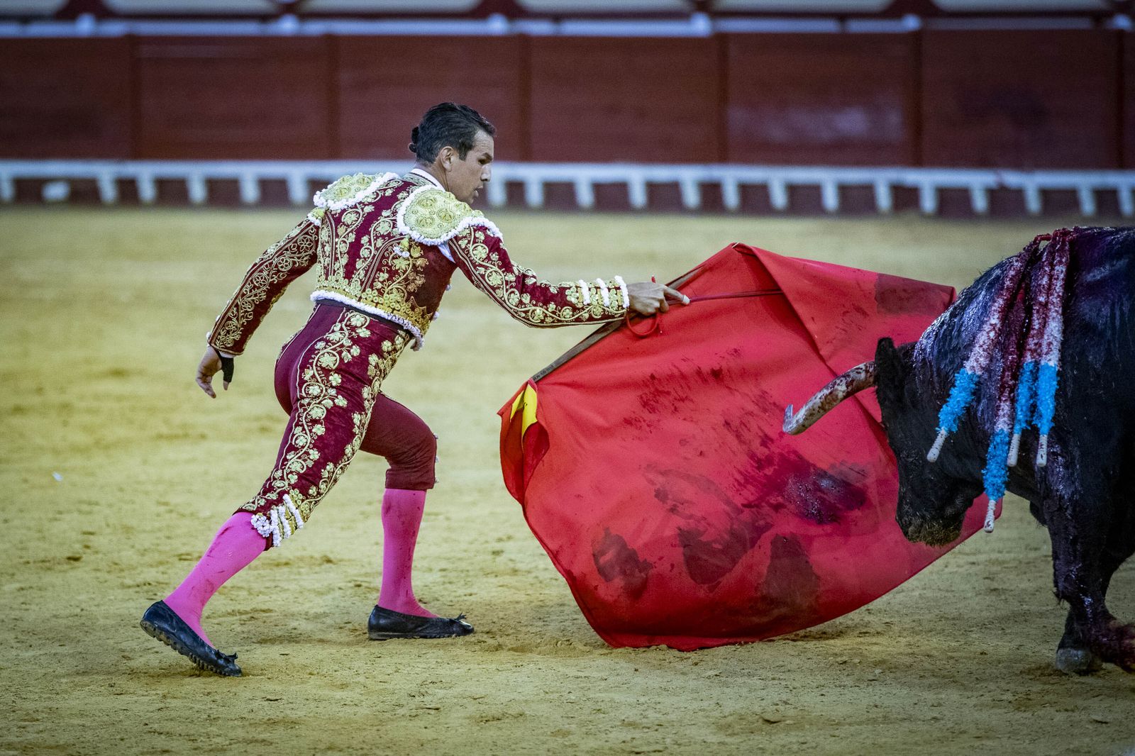 Daniel Crespo, Manzanares y Juan Ortega, en la plaza de toros de El Puerto