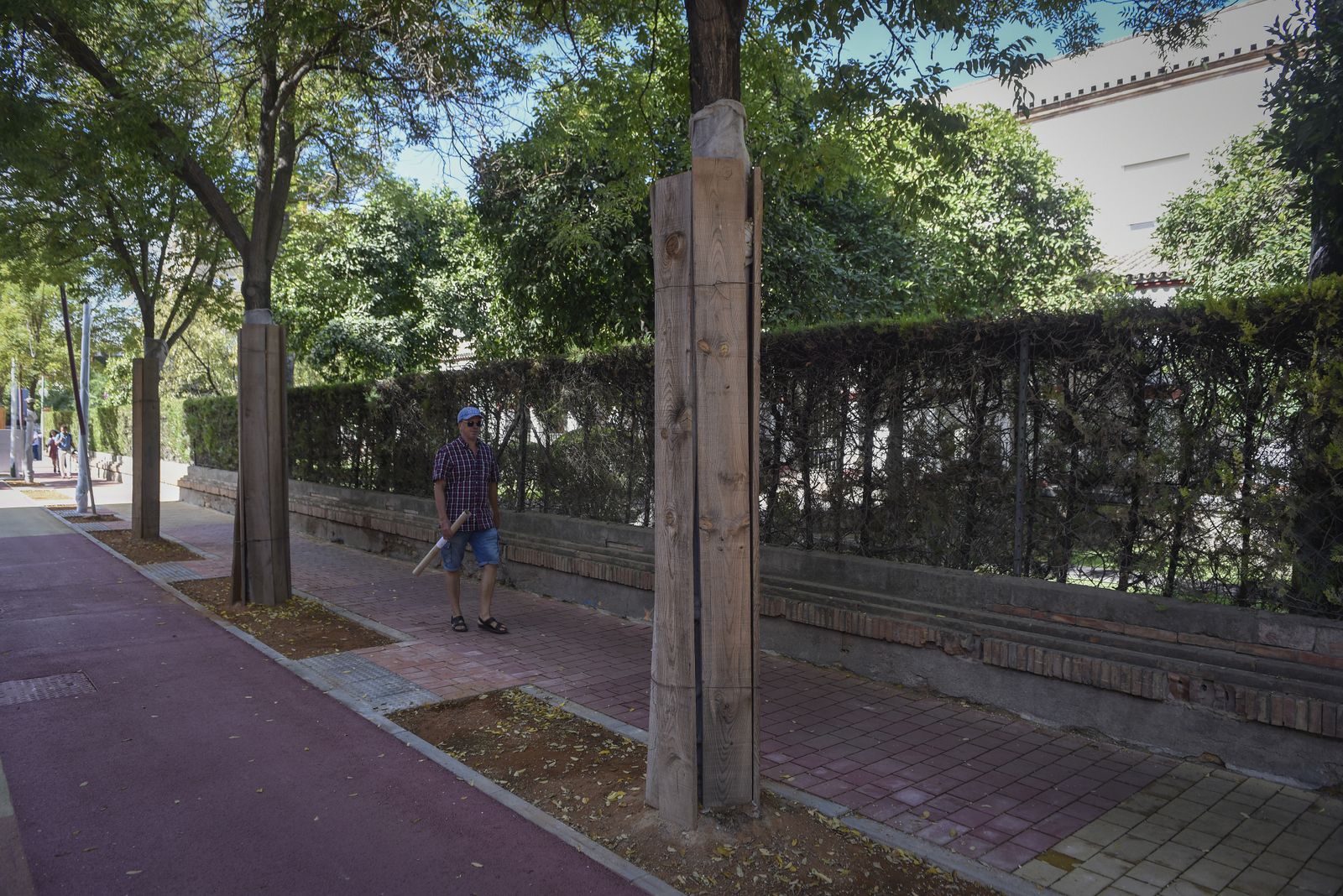 Las imágenes de la nueva Avenida de la Cruz Roja