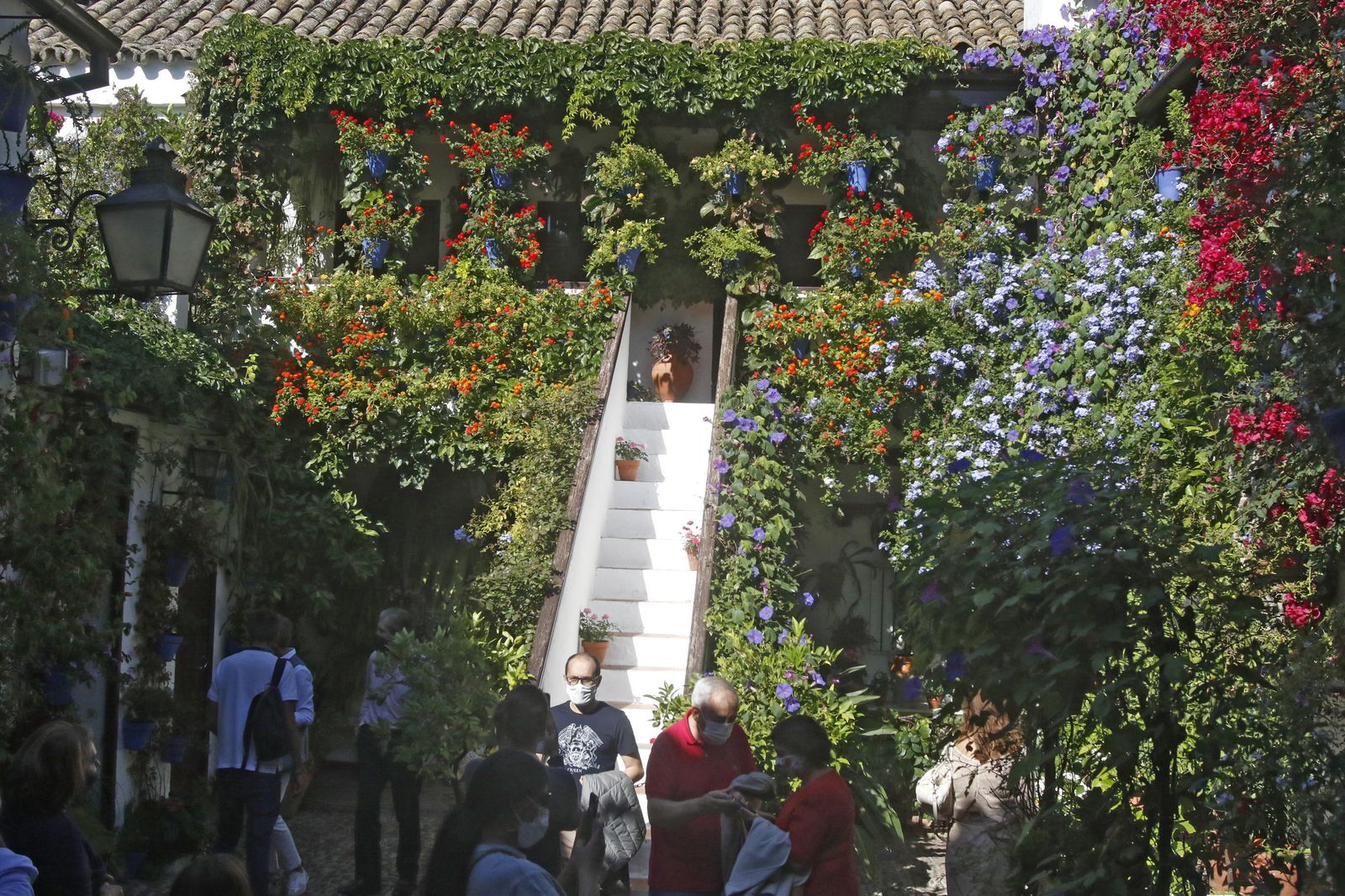 Los Patios en otoño, en fotografías