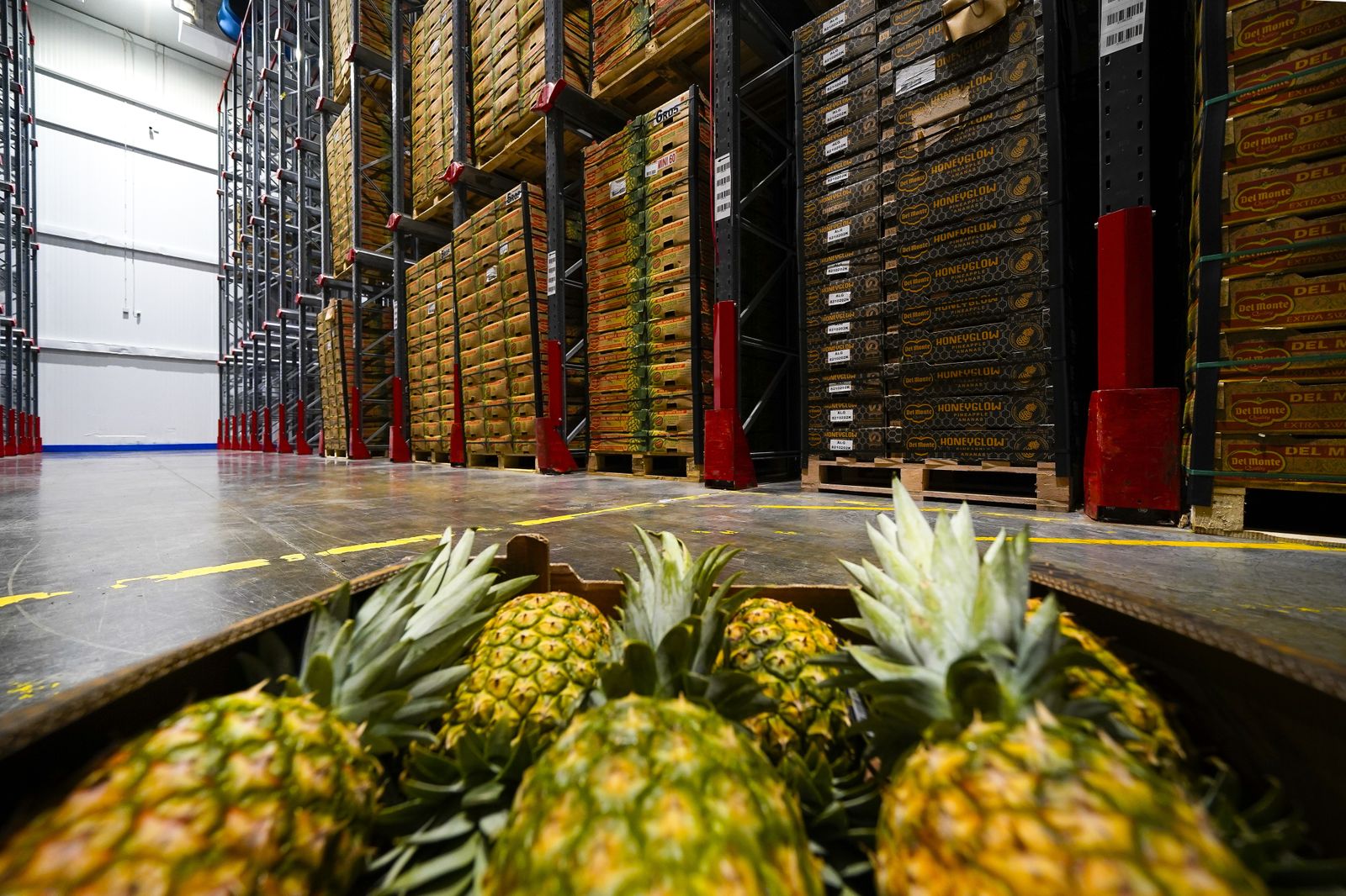 Estancia refrigerada del Puerto de Algeciras