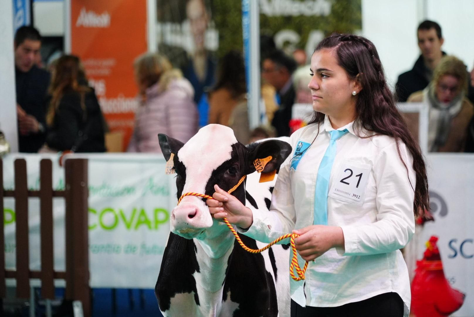 El Gran Campeonato de Novillas de la XVI Feria de Ganado Frisón Usías Holsteins de Dos Torres, en imágenes