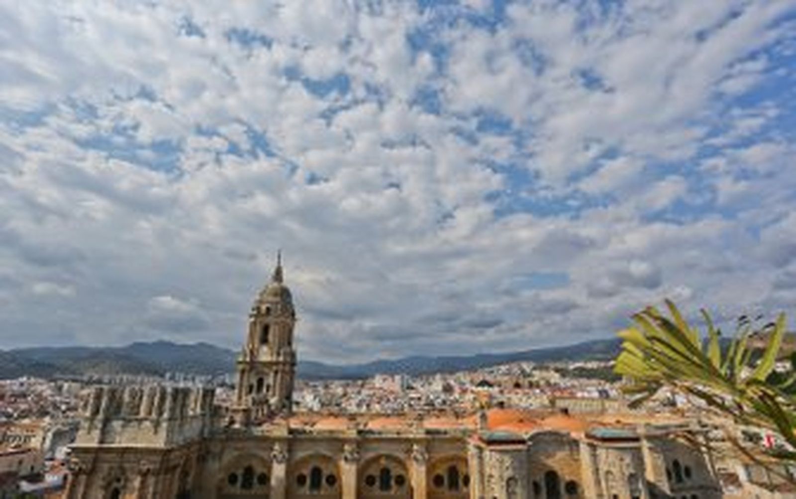 De leones, grifos y torres invisibles