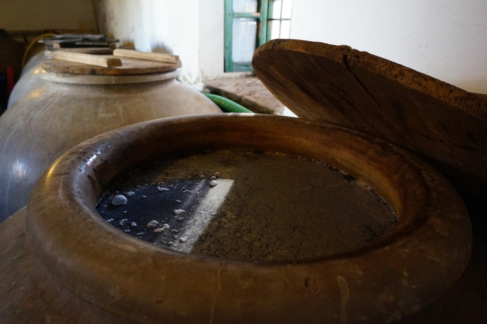 Un recorrido en fotografías por el vino nuevo de Moriles