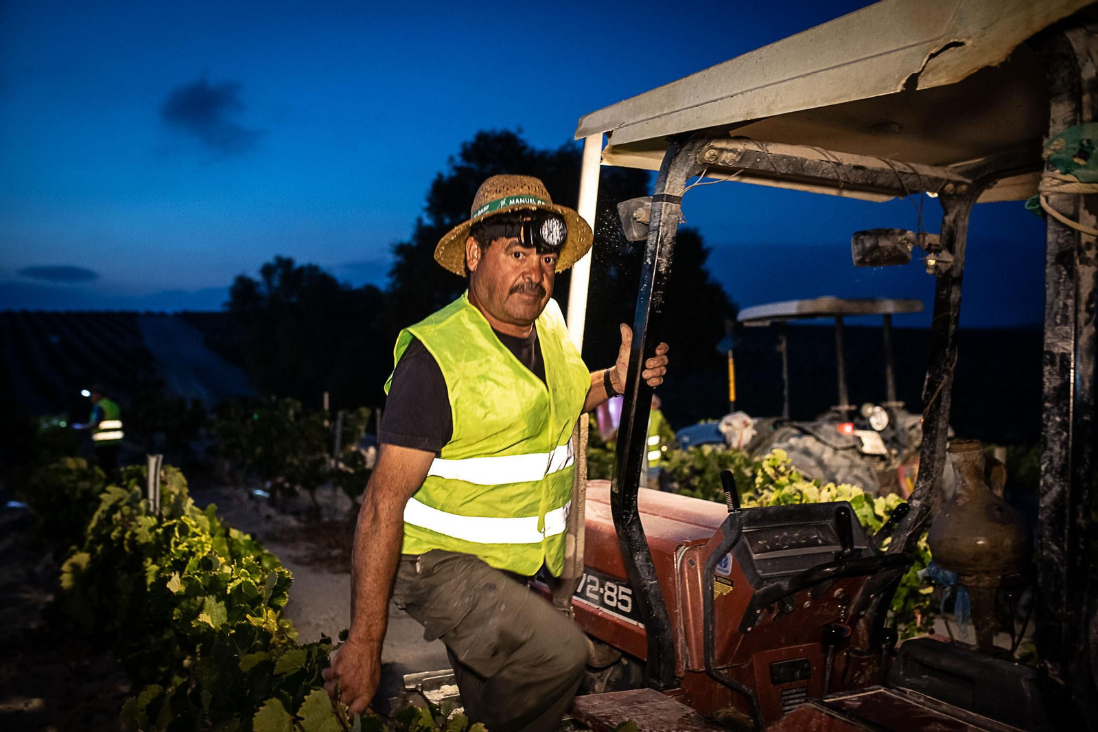 La vendimia nocturna de Tío Pepe