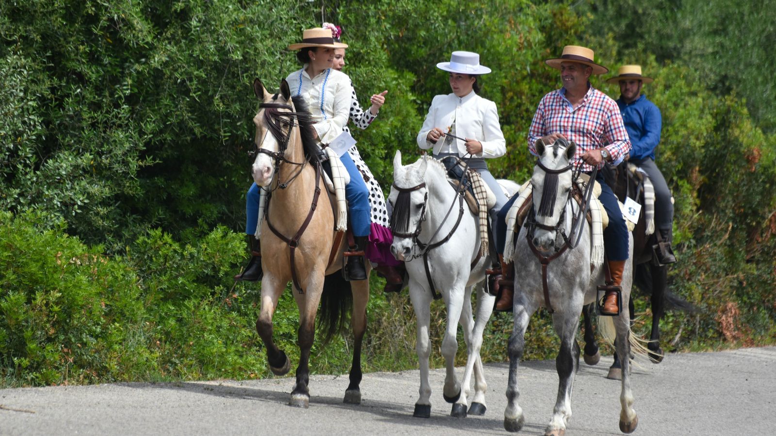Fotos de la romería de San Isidro Labrador en Los Barrios