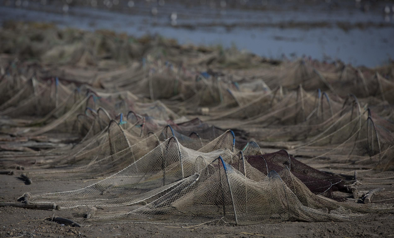 La ruta del arroz, en imágenes