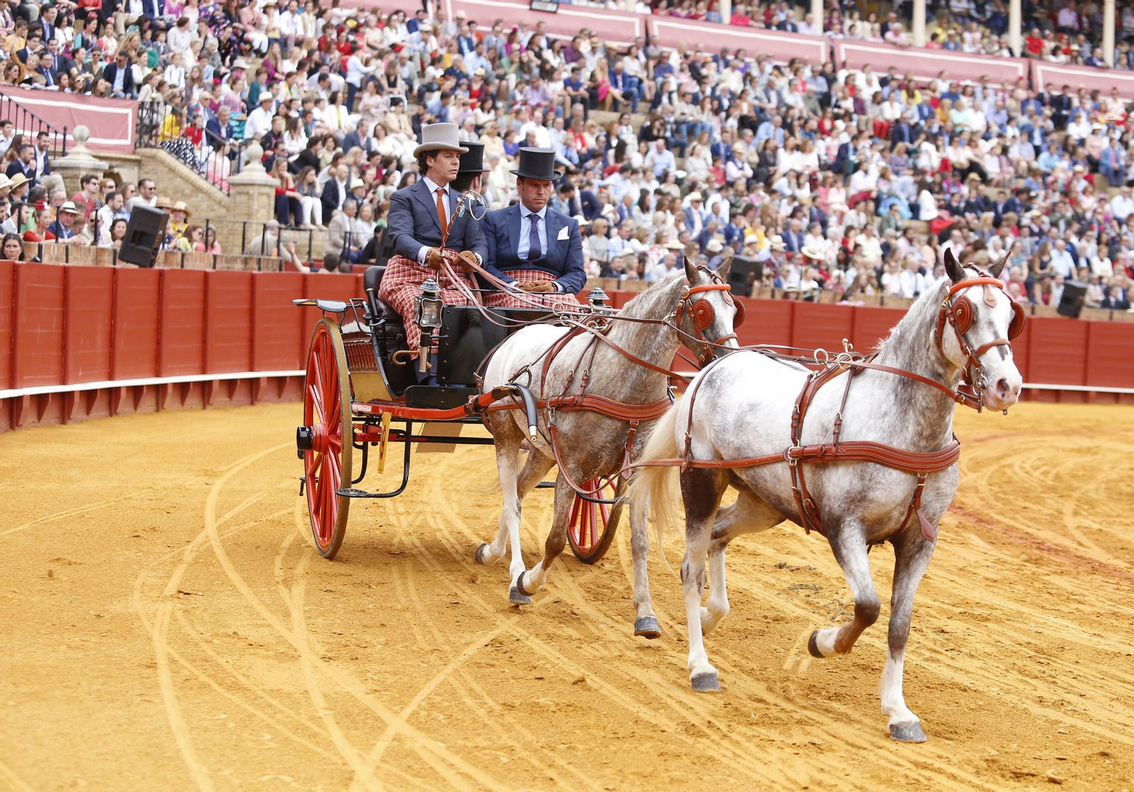 La 34º exhibición de enganches de la Feria de Sevilla en imágenes