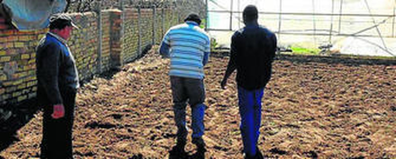 Unos inmigrantes aprenden a cultivar.