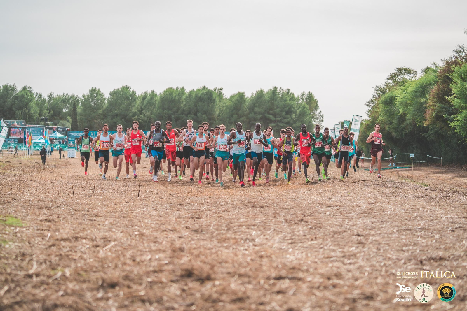 Búscate en las fotos del Cross de Itálica 2025 | 12