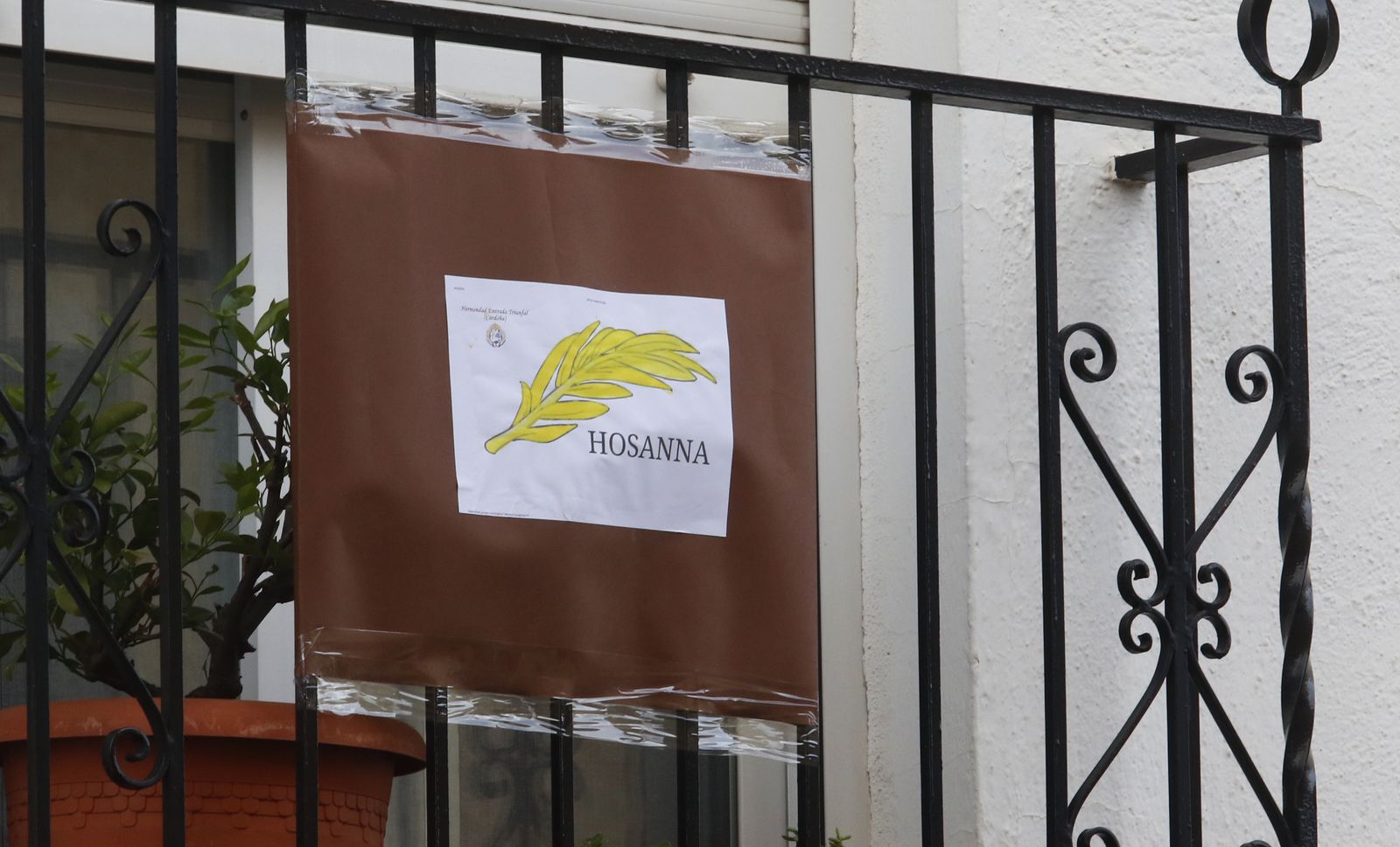 Las fotos de un atípico Domingo de Ramos en San Lorenzo