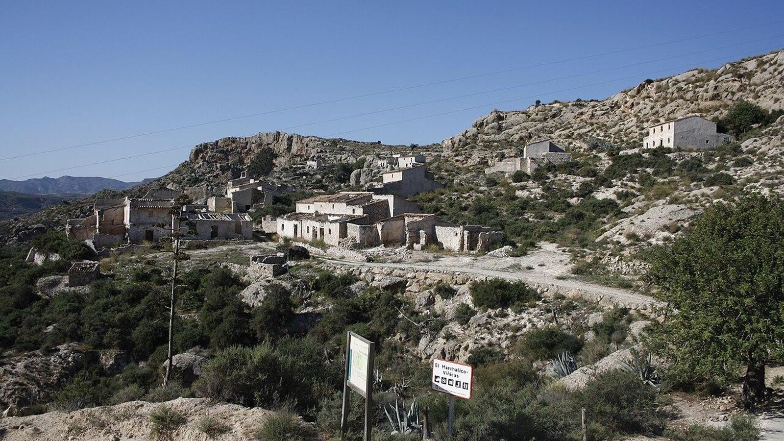 Marchalico Viñicas.