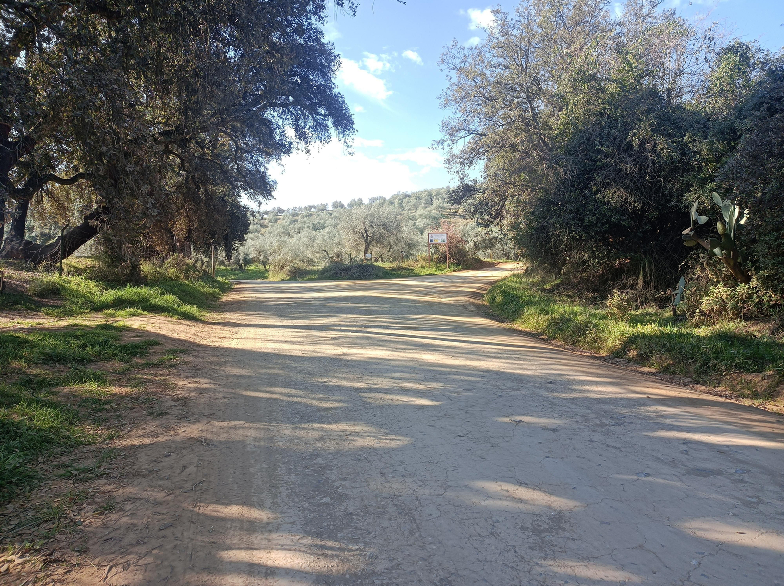 Las fotos de la circular de los Molinos del Ciudadeja