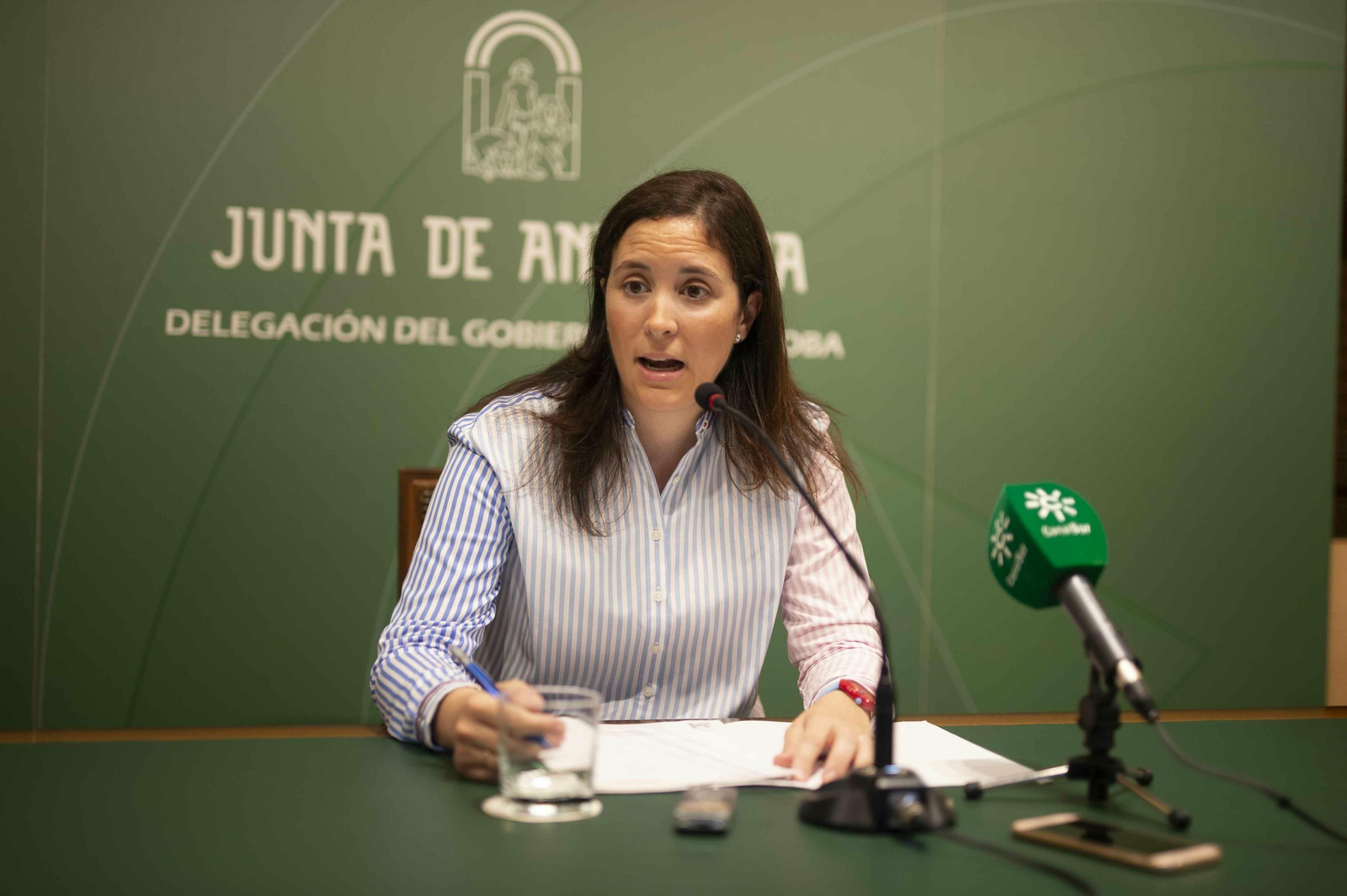 Cristina Casanueva, delegada de Fomento de la Junta en Córdoba.