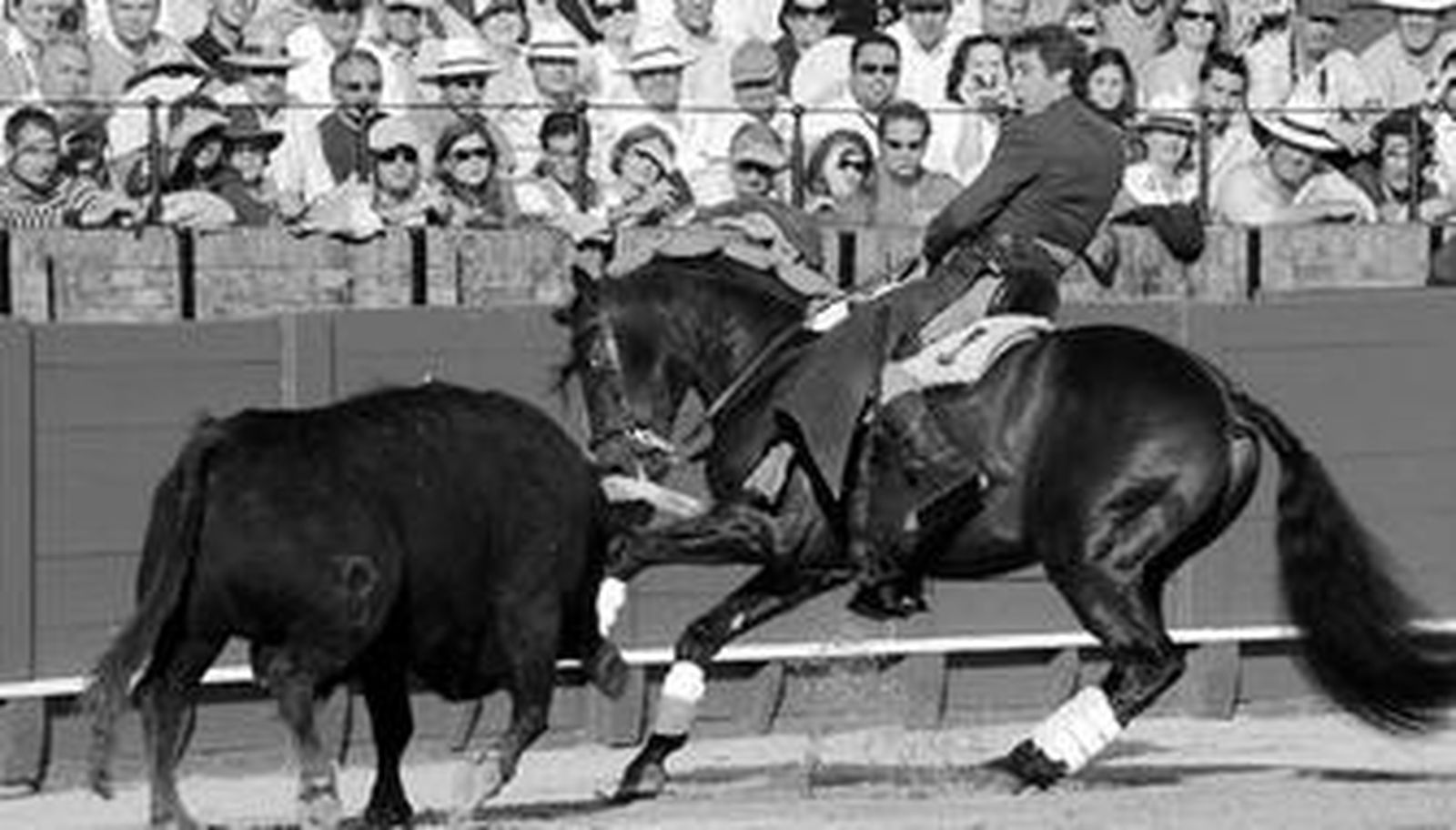 Pablo Hermoso de Mendoza, toreando a dos pistas, a lomos de 'Chenel'.
