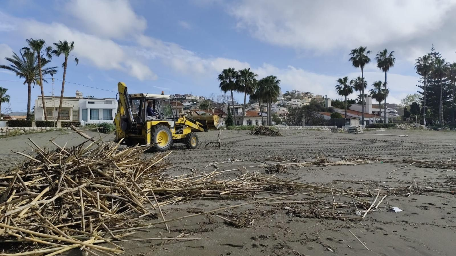 La retirada de cañas en las playas de litoral de Málaga, en imágenes