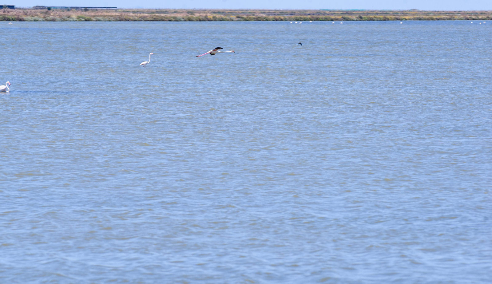 Imágenes de la finca Veta la Palma