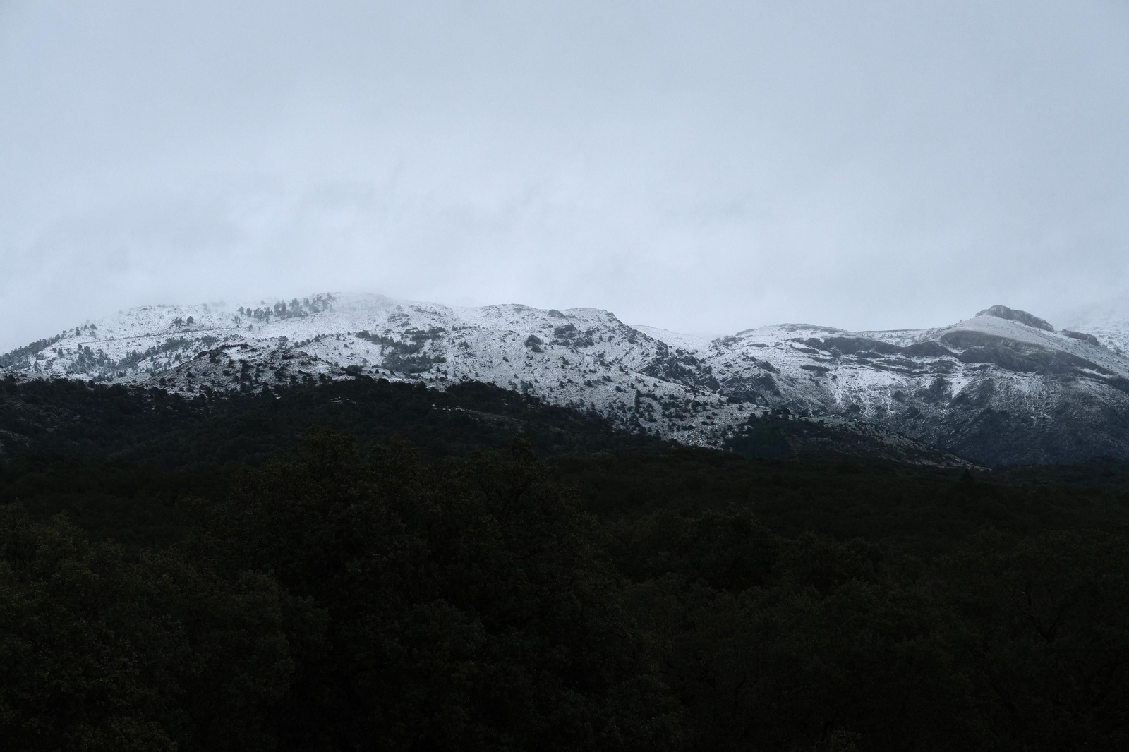 La nueva nevada  en el Parque Nacional Sierra de las Nieves, en fotos
