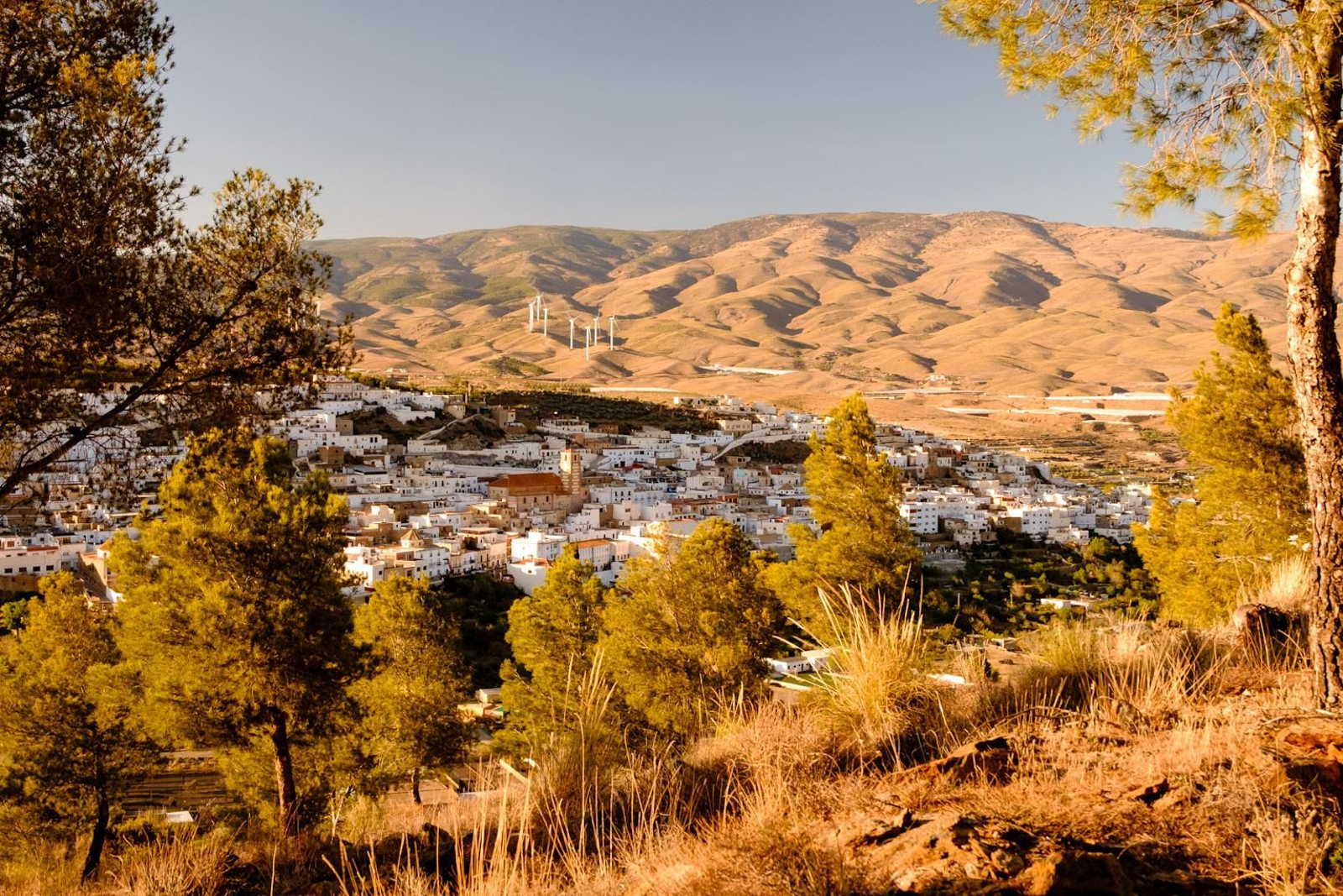 Fotografía titulada ‘Abla a través de los pinos’ de Mary Martínez.