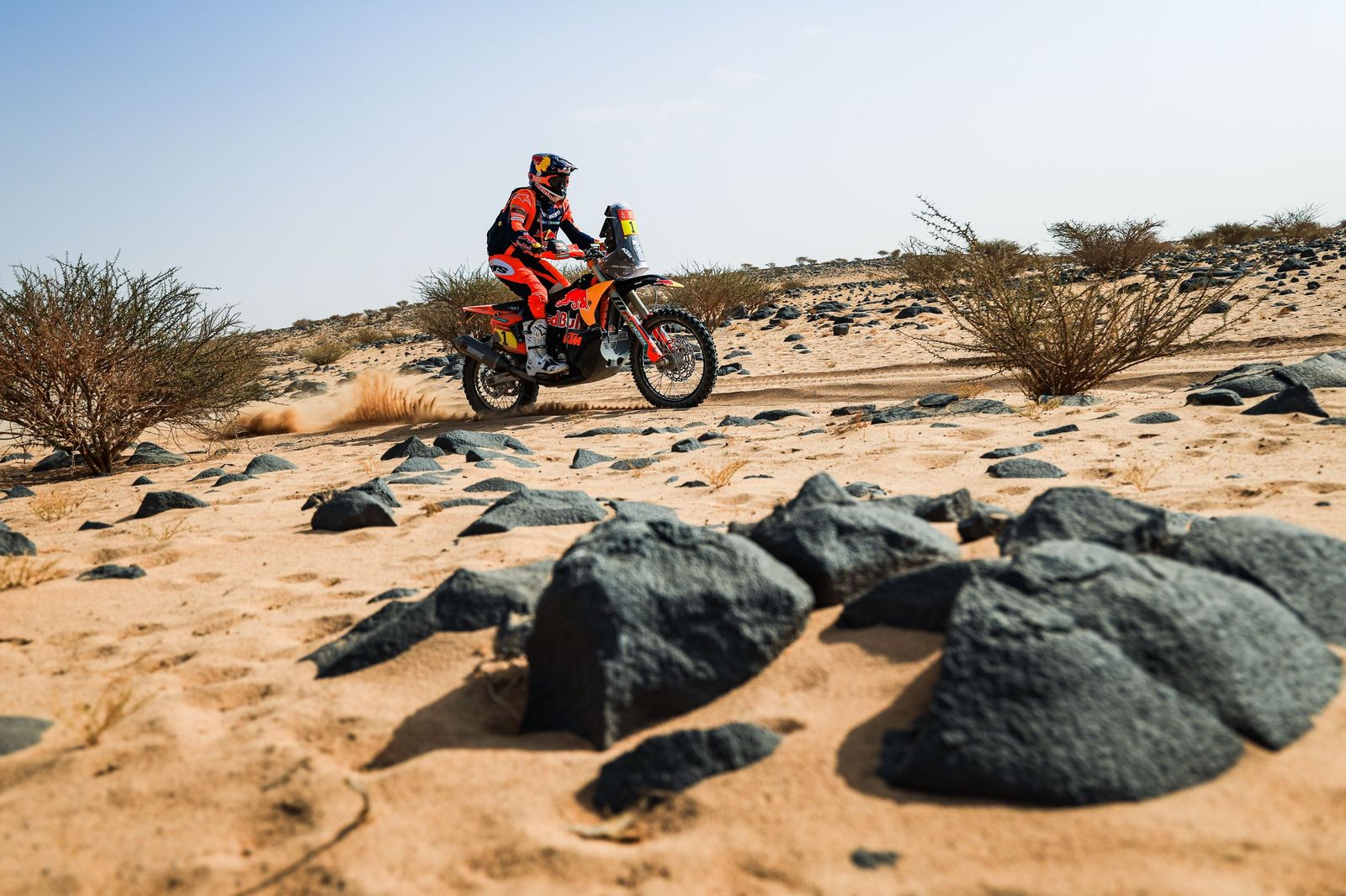 Las mejores fotos del Rally Dakar | undécima etapa