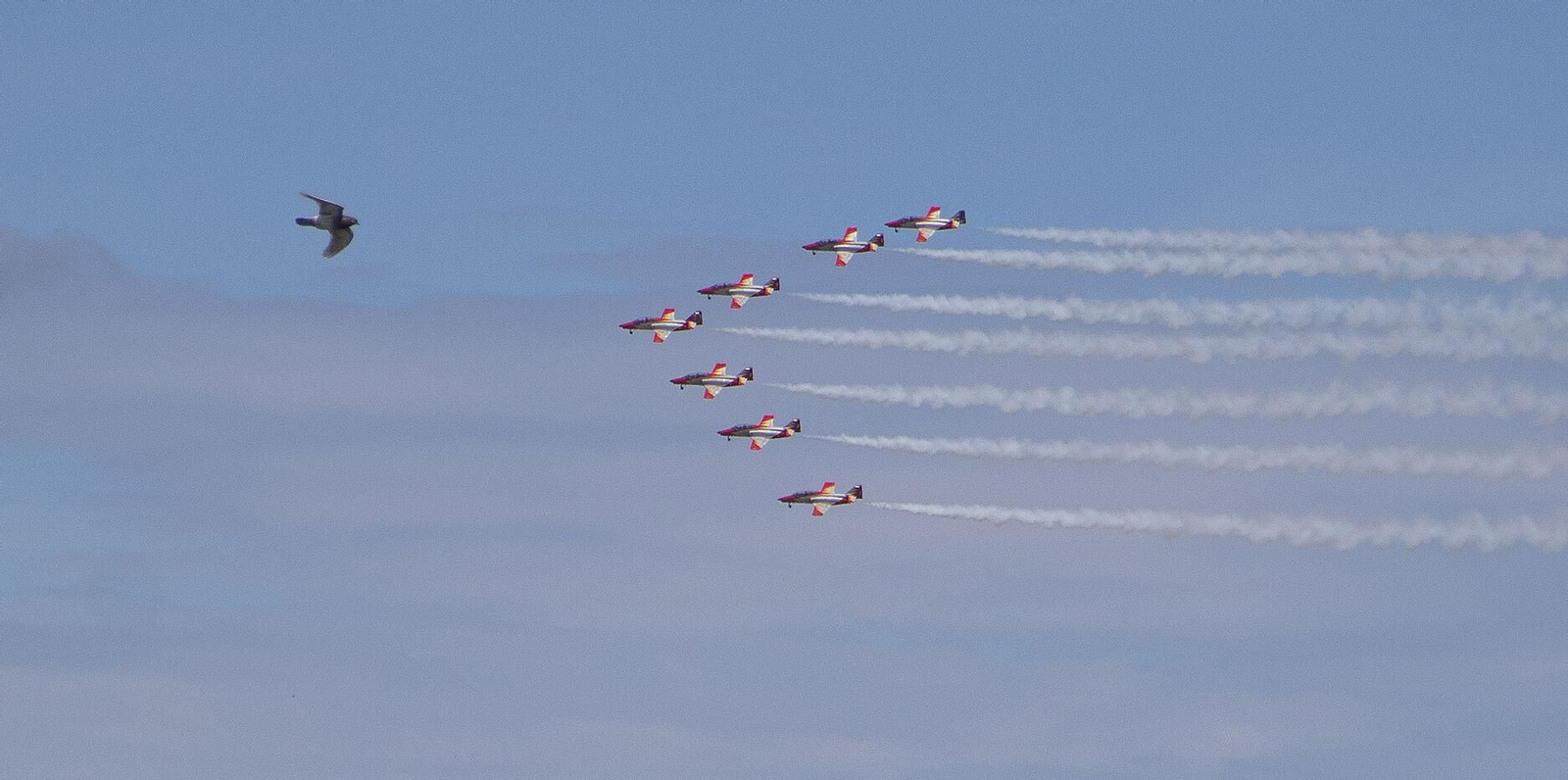 Espectaculares fotos de las acrobacias de la Patrulla Águila: cuatro décadas surcando los cielos