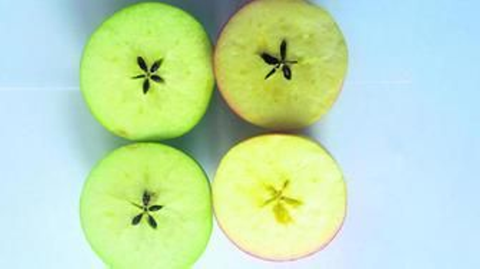 (Siete) Historias de manzanas para todas las asignaturas