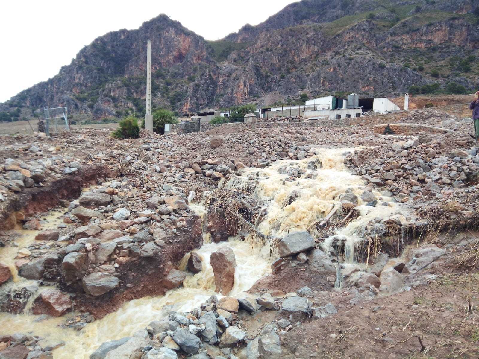 Estado de una finca agrícola entre los términos de Casarabonela y Ardales.