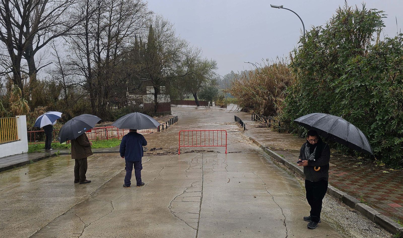 Fotos del temporal de lluvia y viento por la borrasca Kristin en Jimena de la Frontera, San Pablo de Buceite y San Martín del Tesorillo