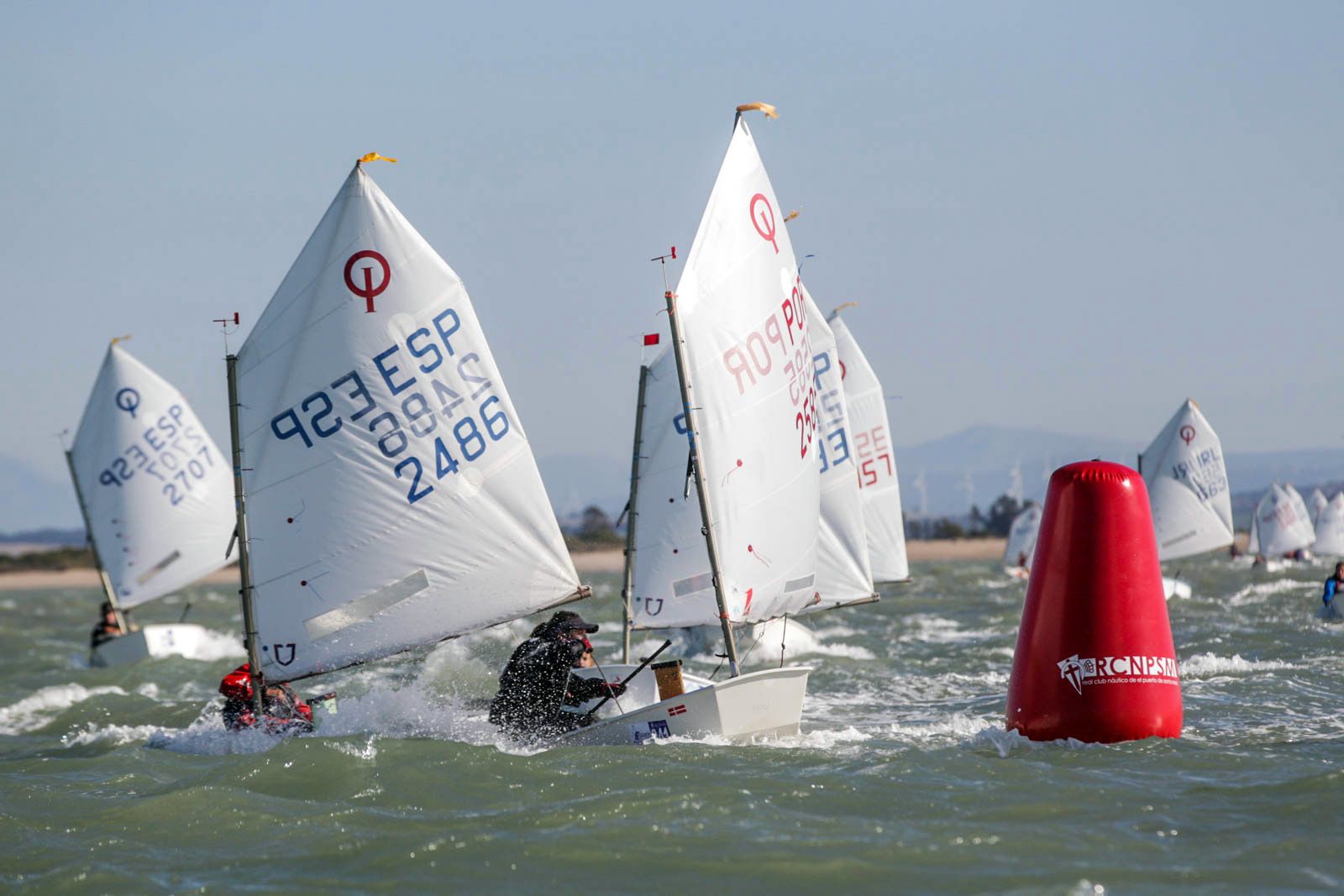 Un momento de una competición de óptimist.