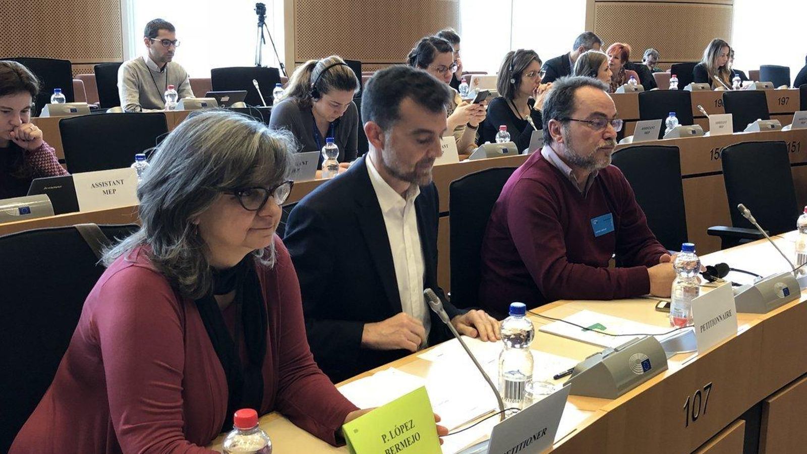 Maíllo en el Parlamento Europeo