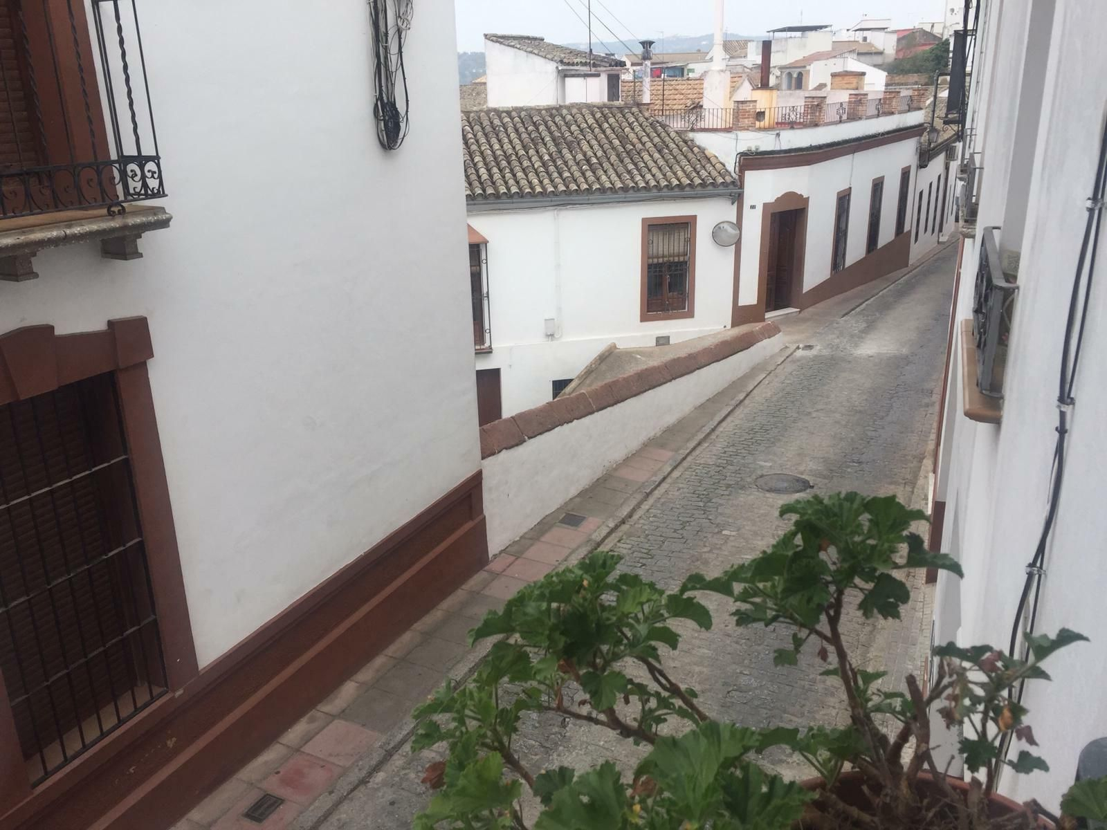 Coronavirus en Córdoba: '#CórdobaDesdeMiVentana', las imágenes de los cordobeses en estado de alerta