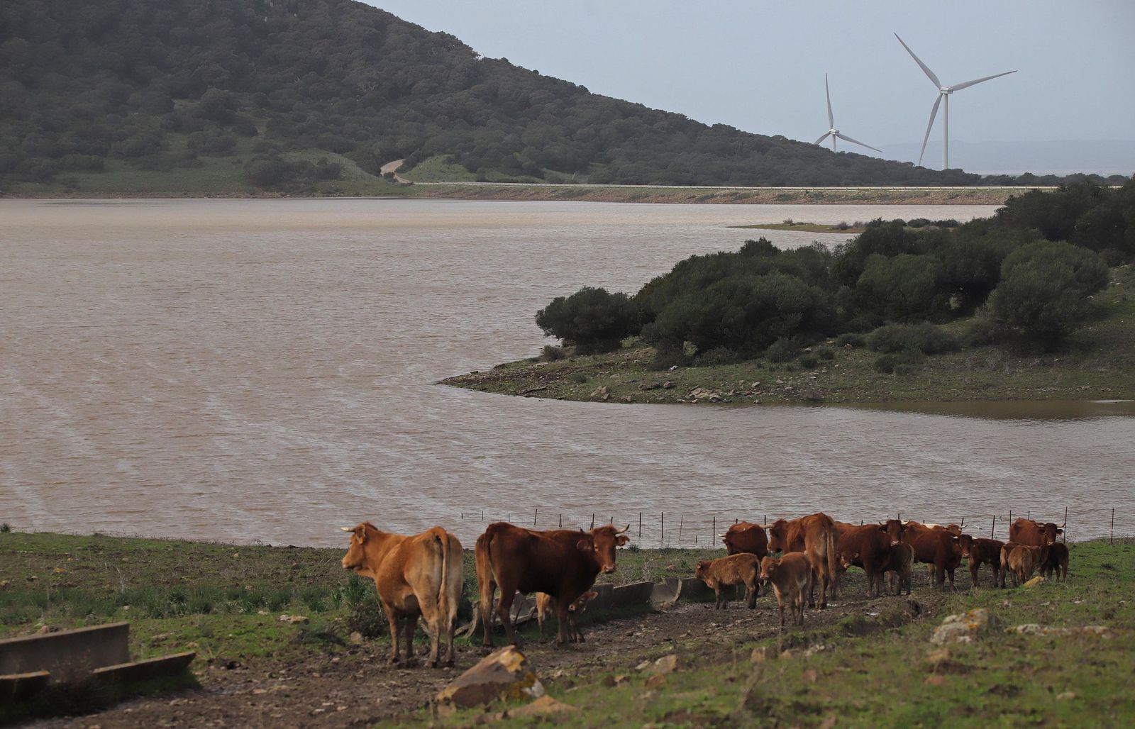 Fotos del embalse de Almodóvar en Tarifa