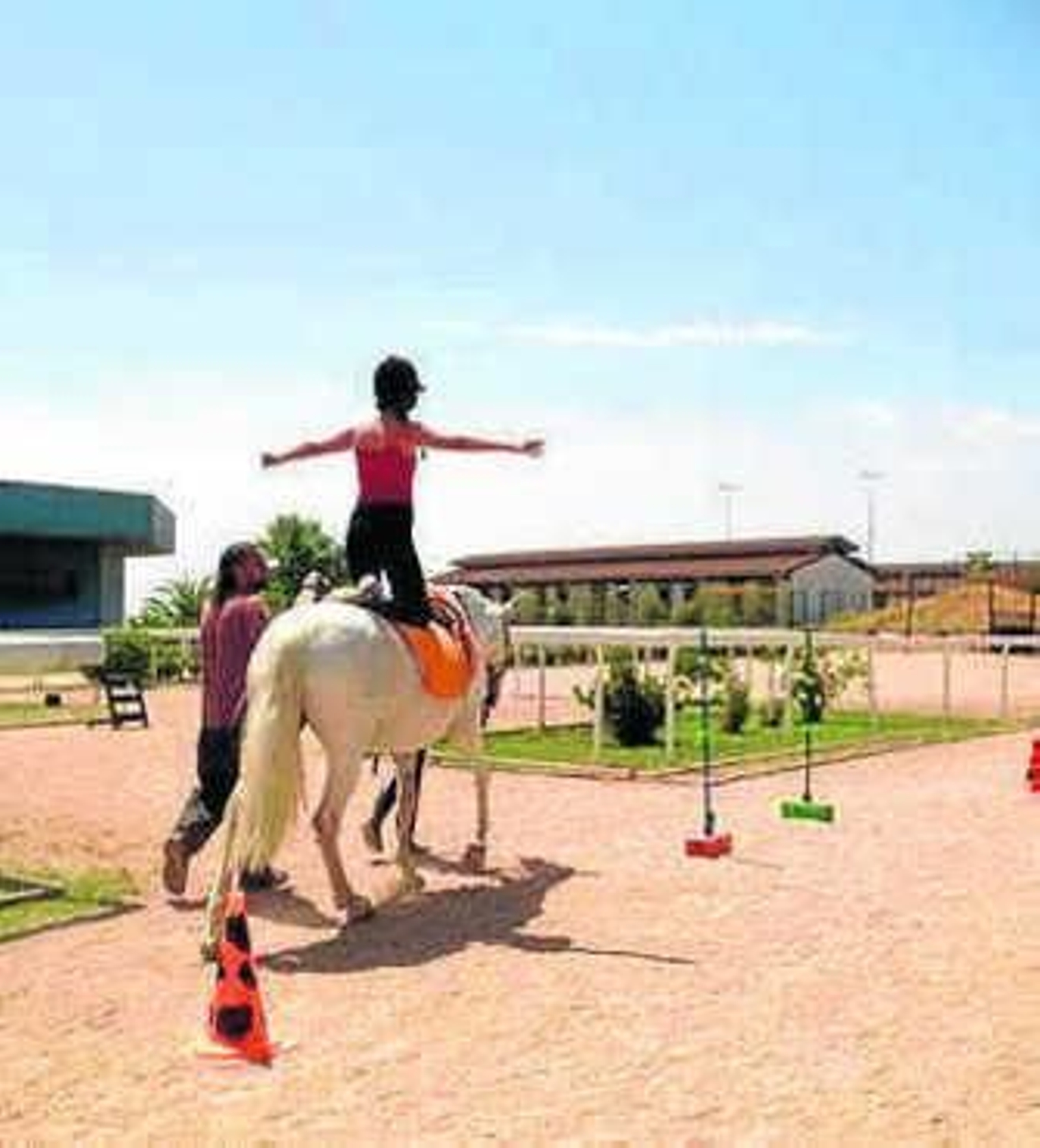 Nuevo curso de equitación terapéutica en La Herradura