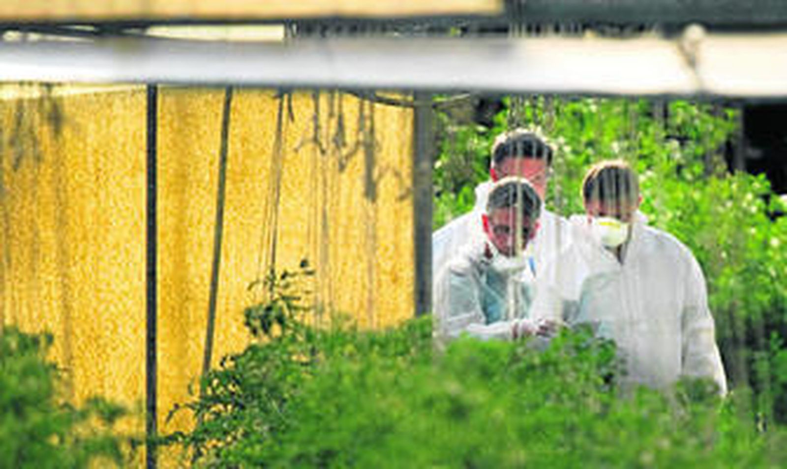 Investigadores en la granja sospechosa del brote de 'E. coli', al noroeste de Berlín.