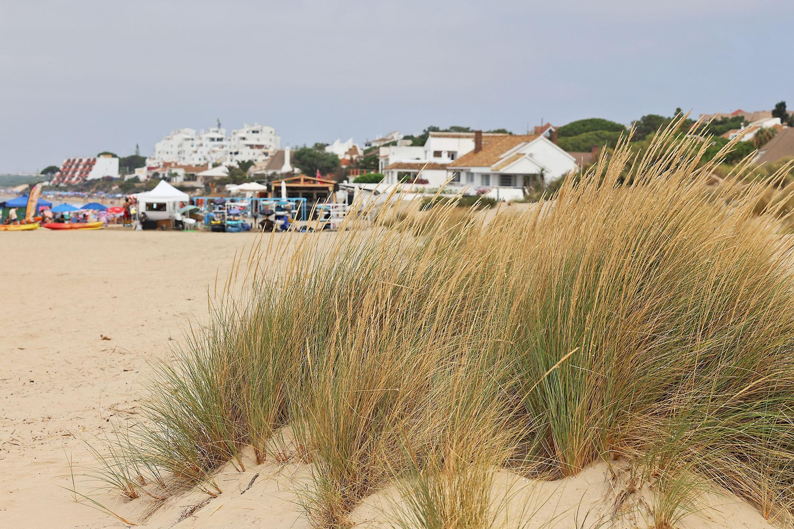 Imágenes del ambiente en las playas de Huelva en la mañana de domingo