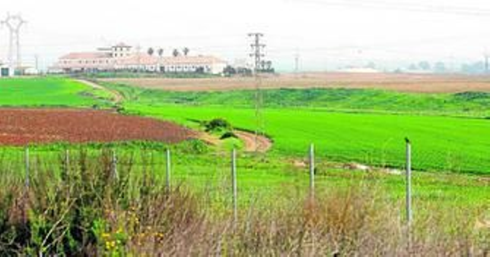 Terrenos del sector San Antonio-Montija, en los que se visualiza el tendido eléctrico y, al fondo, el hotel. Terrenos del sector San Antonio-Montija, en los que se visualiza el tendido eléctrico y, al fondo, el hotel.