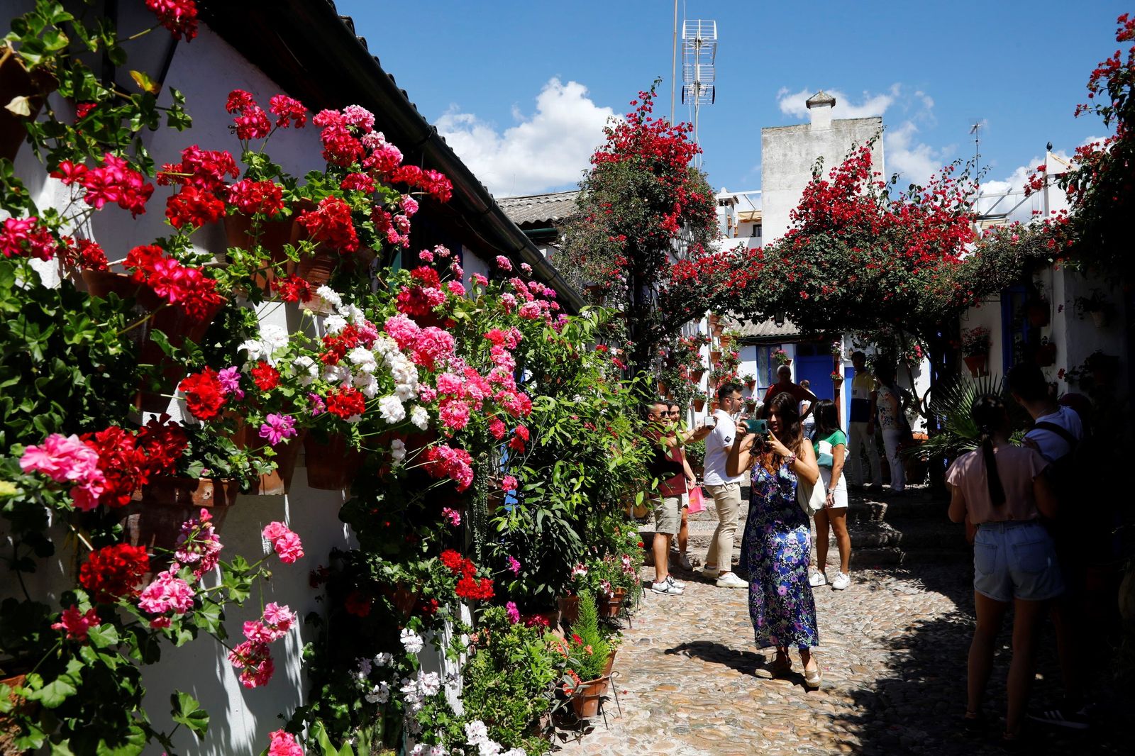 Las colas en el último sábado de Patios de Córdoba, en imágenes