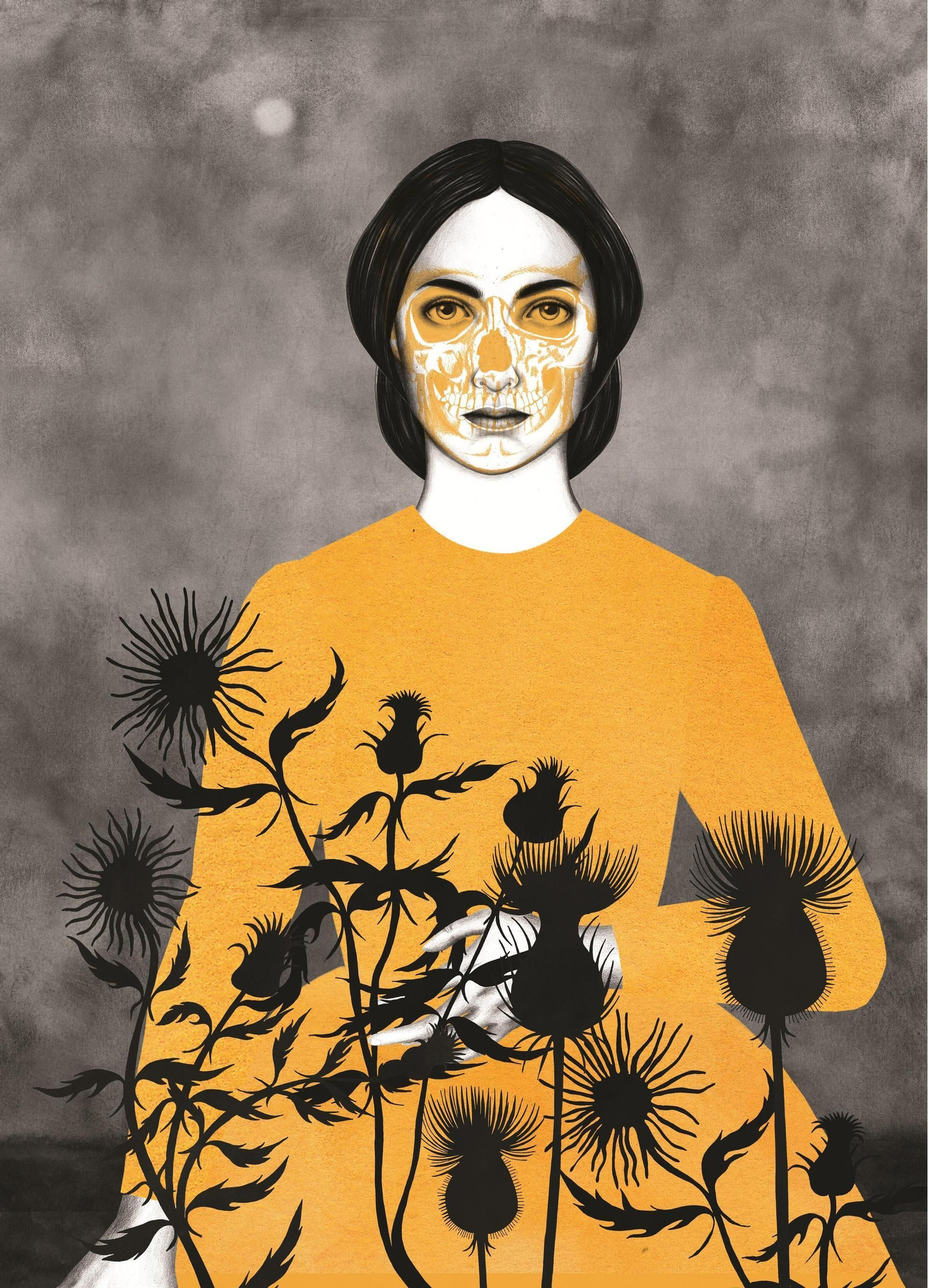 Imágenes para la novela de Emily Brontë