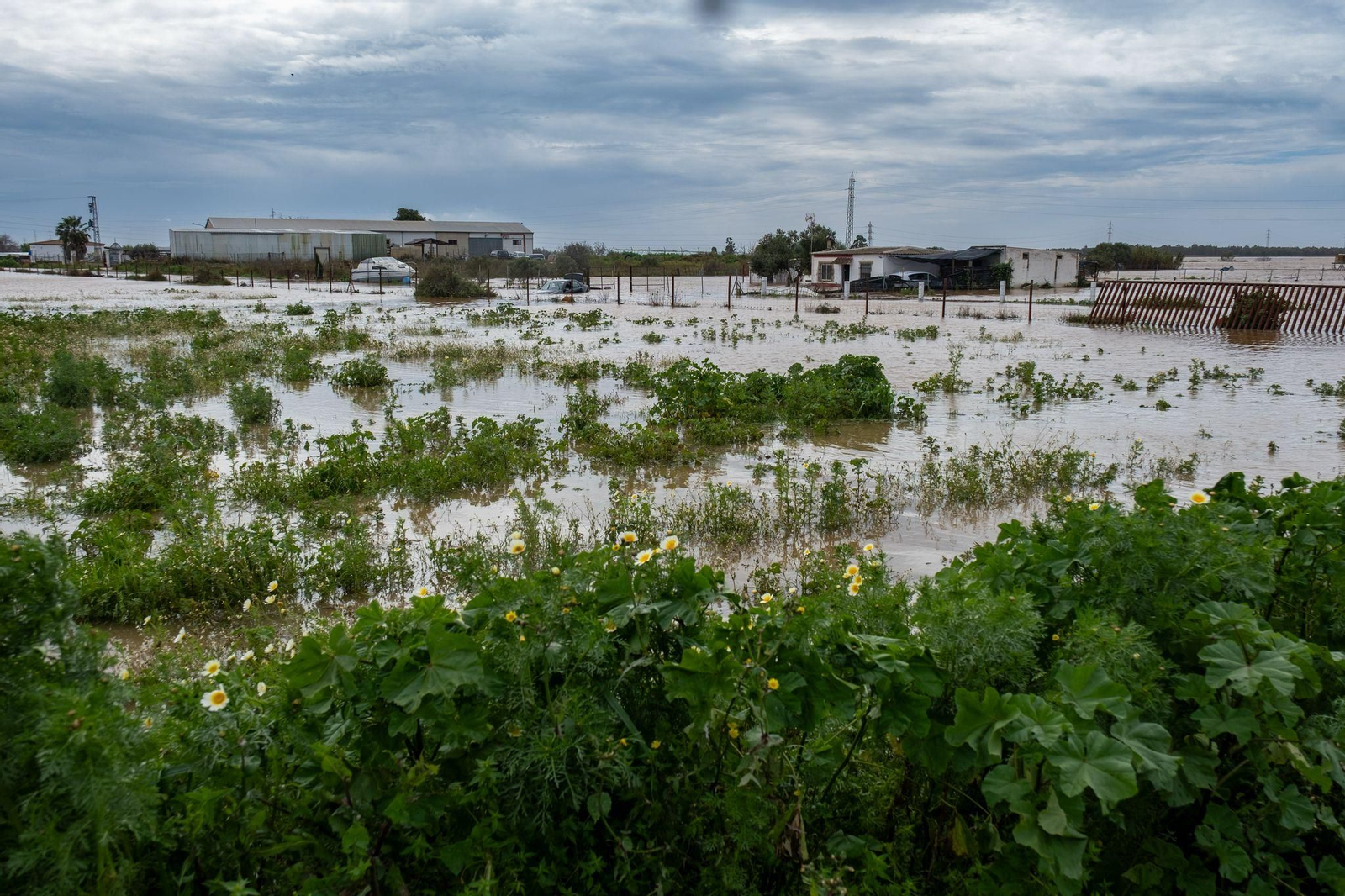 Imágenes de las inundaciones en Gibraleón por la borrasca Laurence este lunes
