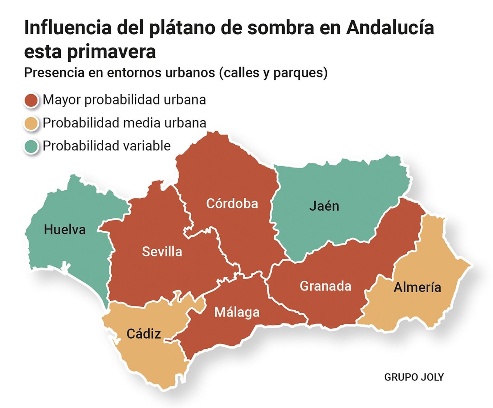 El plátano de sombra se concentra en zonas urbanas y puede disparar síntomas en calles y parques.