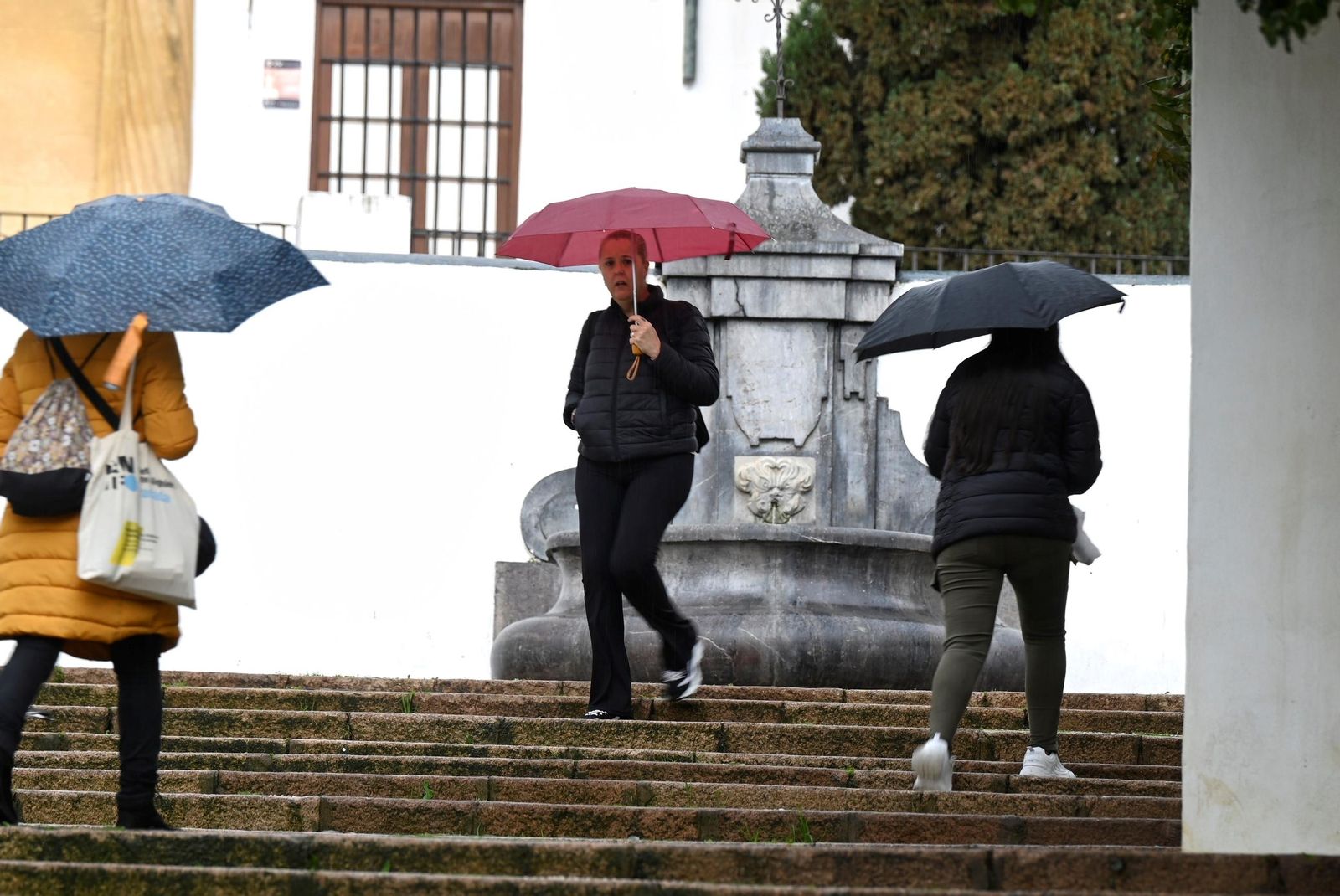 La lluvia que deja la borrasca Konrad en Córdoba, en imágenes