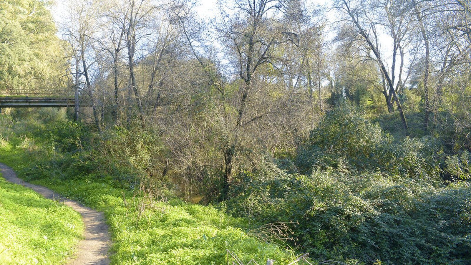 Sendero de la Mariposa Monarca en Castellar