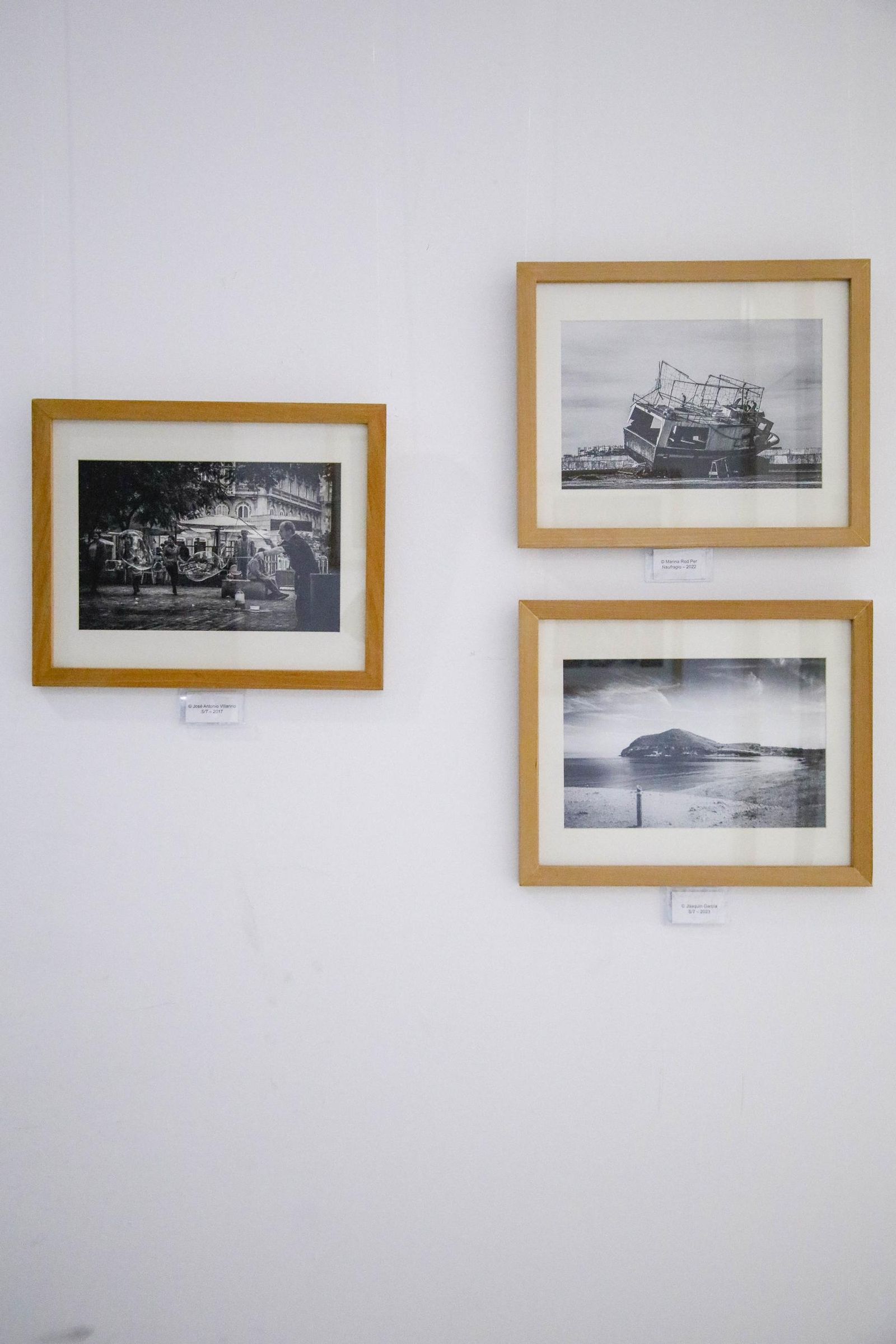 Imágenes de la inauguración de la exposición Miscelánea