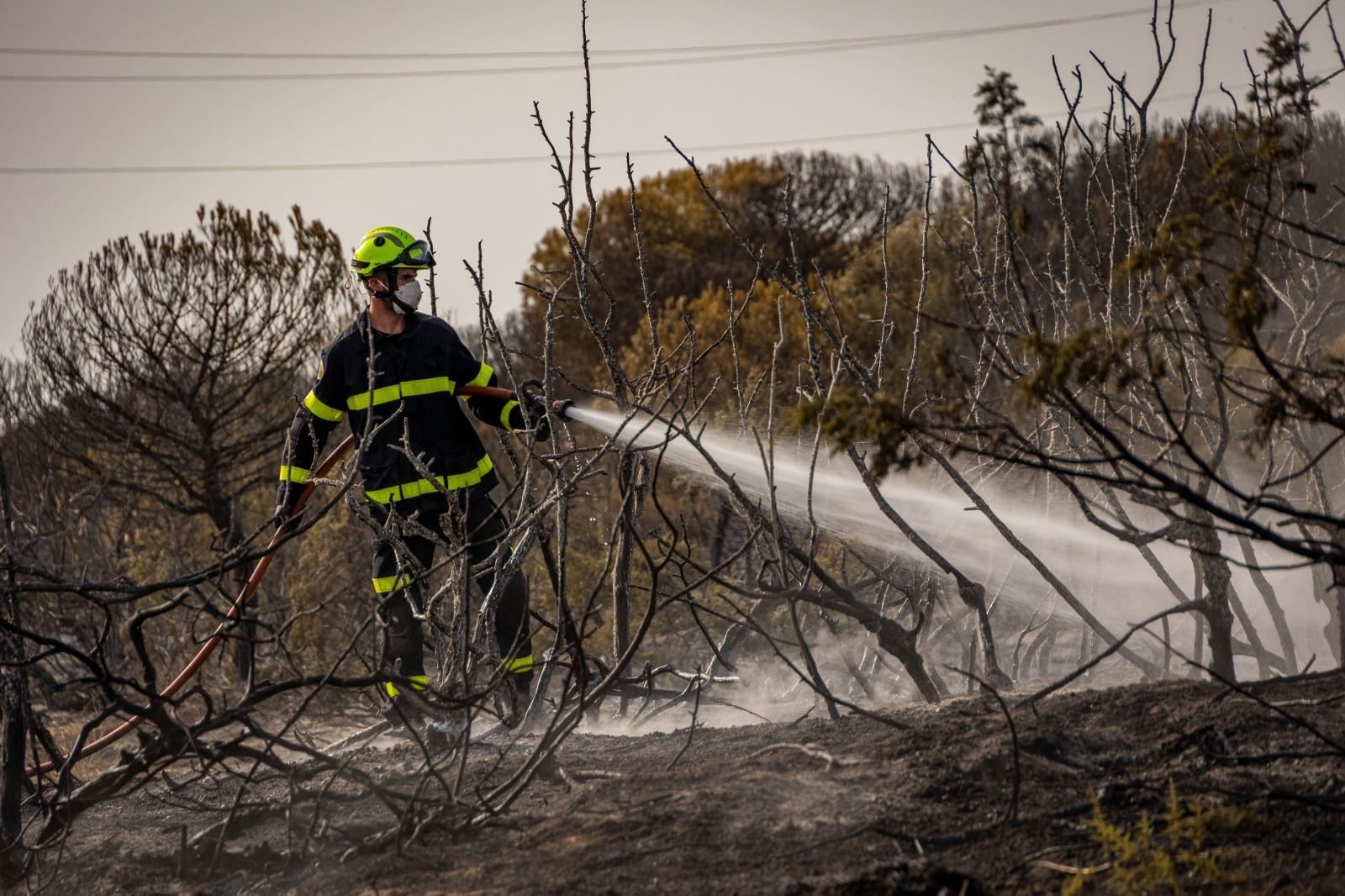 Imágenes del incendio en el Tiro Pichón