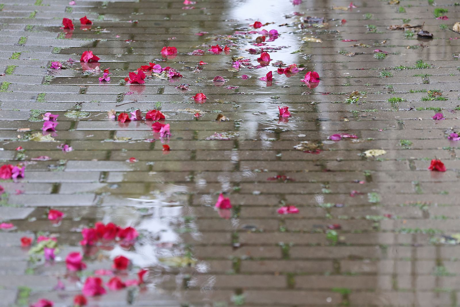 Las imágenes más destacadas del sábado 25 de enero en Huelva