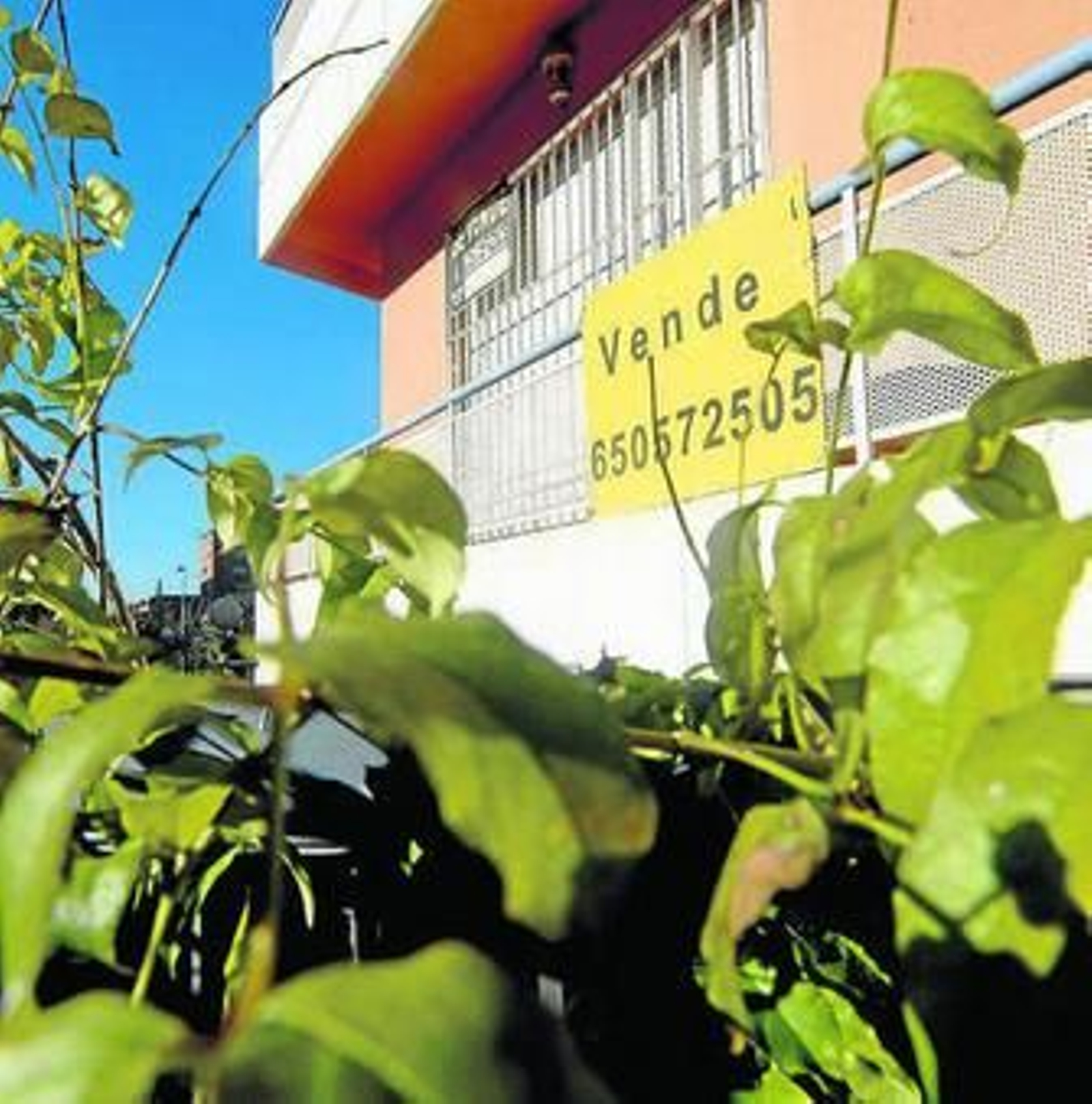 En conjunto la provincia registró 11.070 transacciones inmobiliarias.